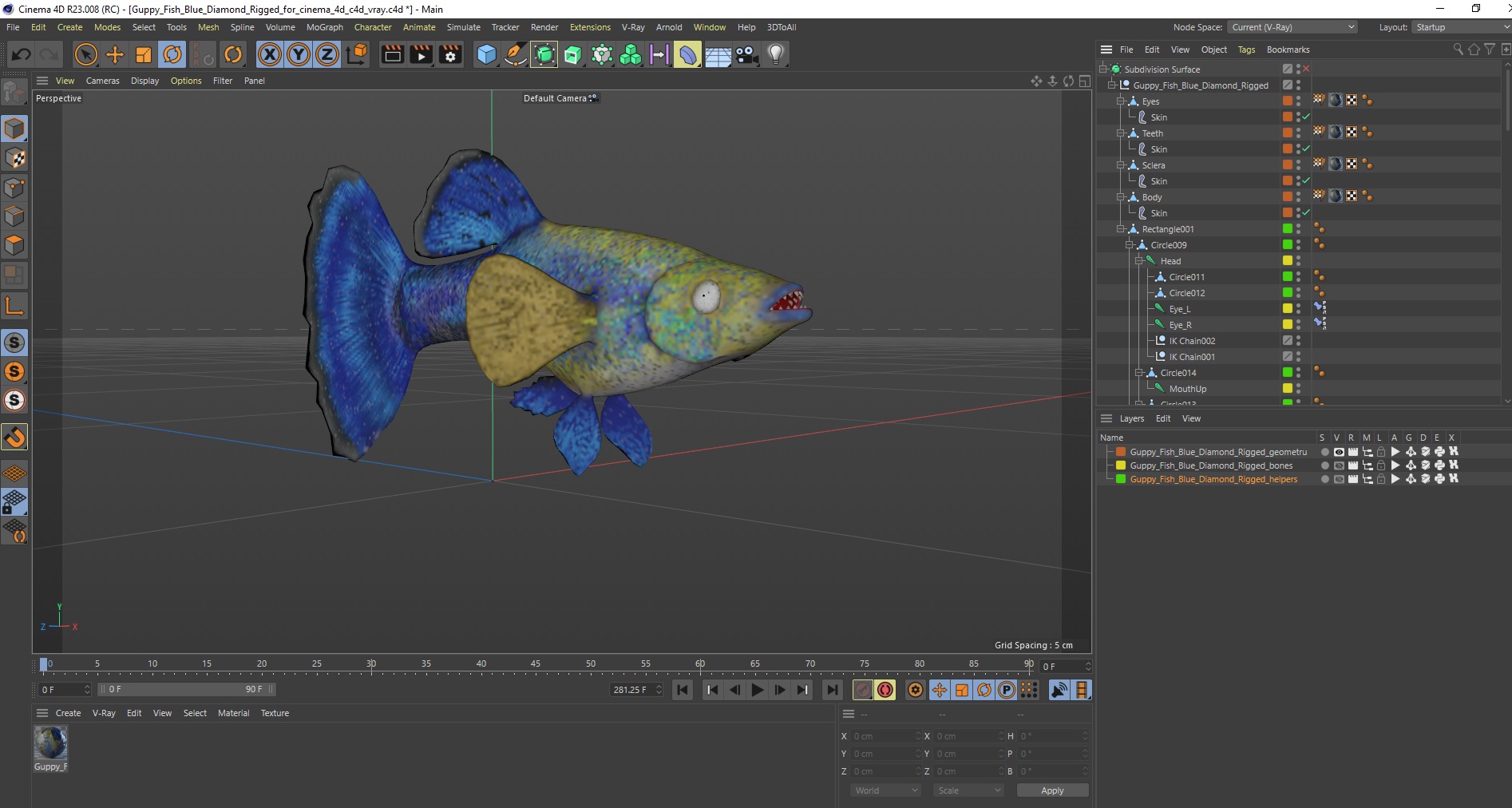 Guppy Fish Blue Diamond Rigged for Cinema 4D 3D model