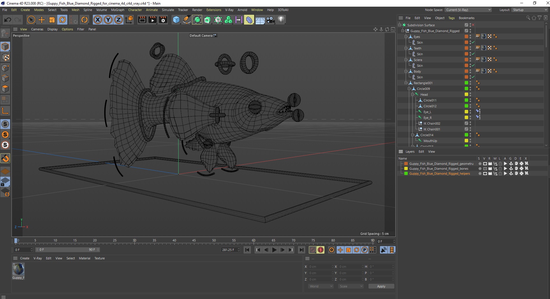 Guppy Fish Blue Diamond Rigged for Cinema 4D 3D model