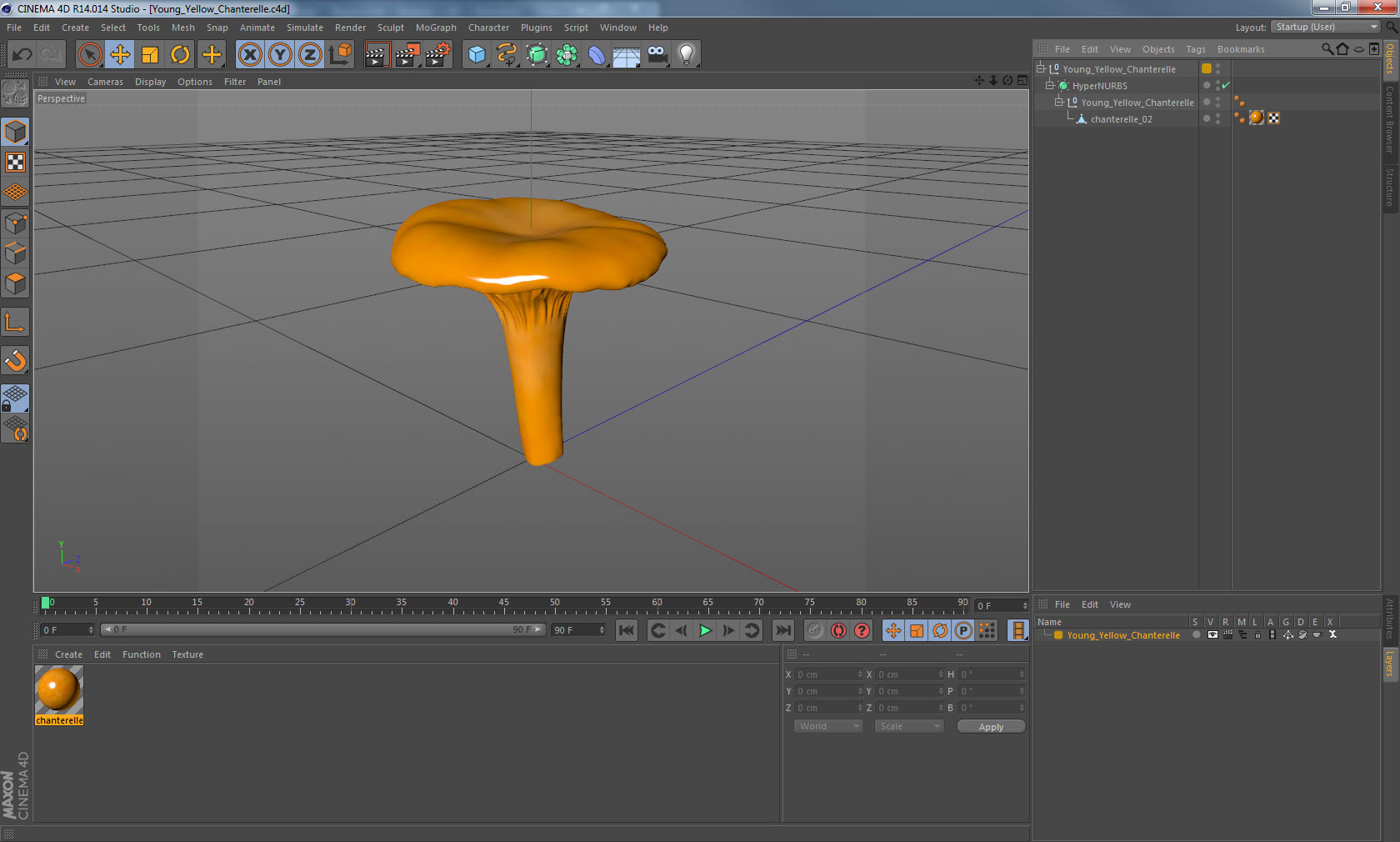 Young Yellow Chanterelle 3D model