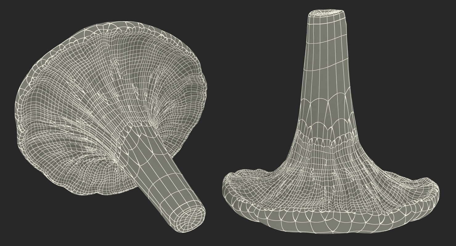 Young Yellow Chanterelle 3D model