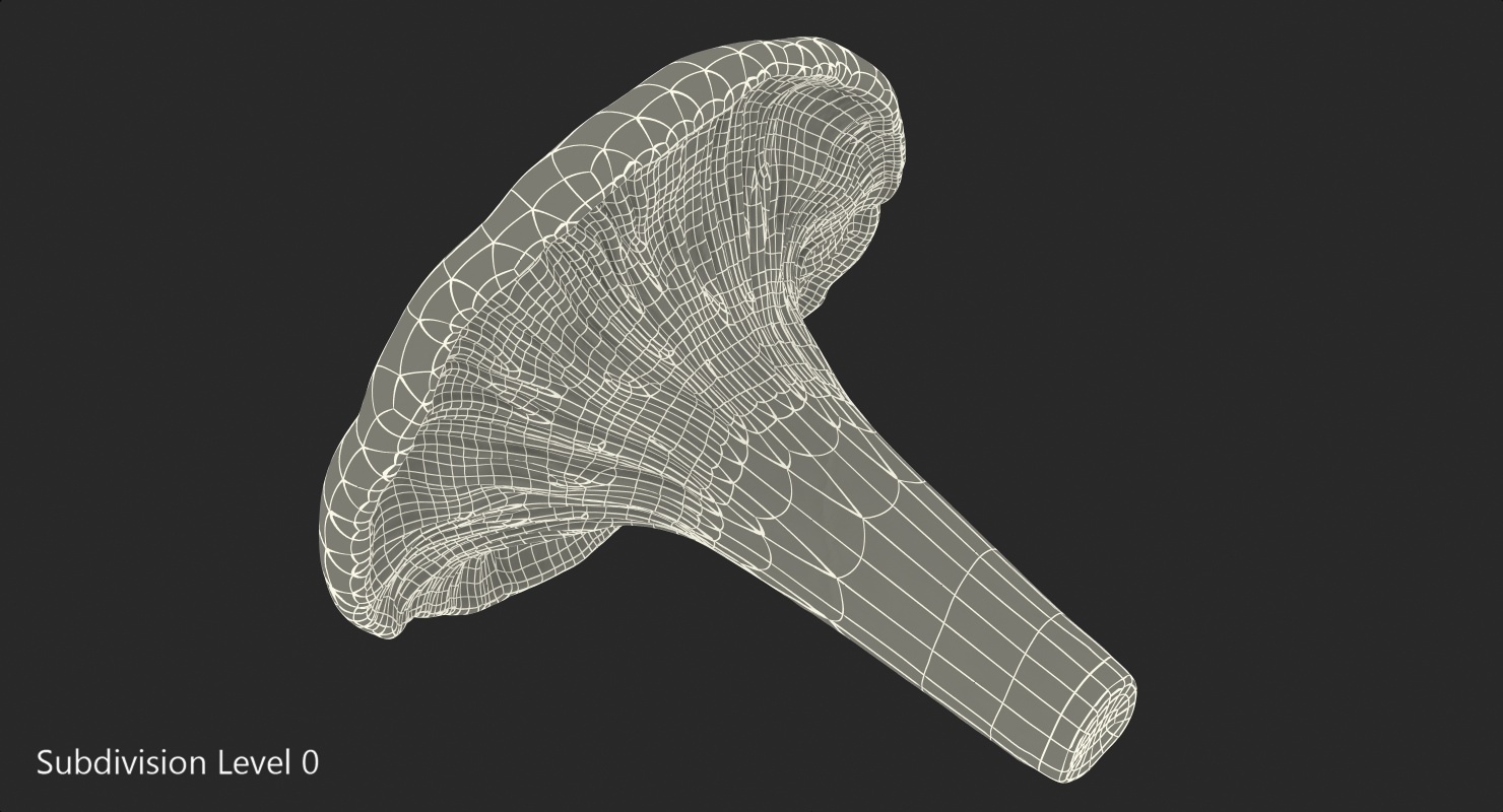 Young Yellow Chanterelle 3D model