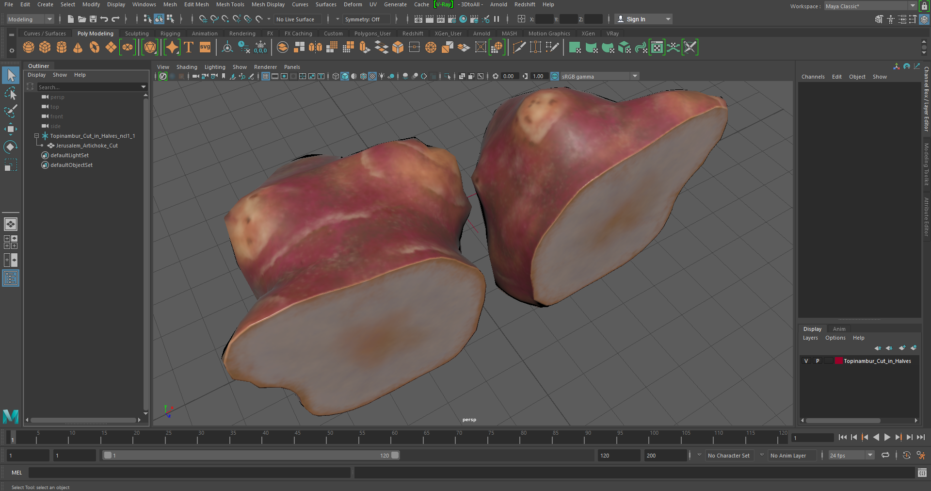 Topinambur Cut in Halves 3D model