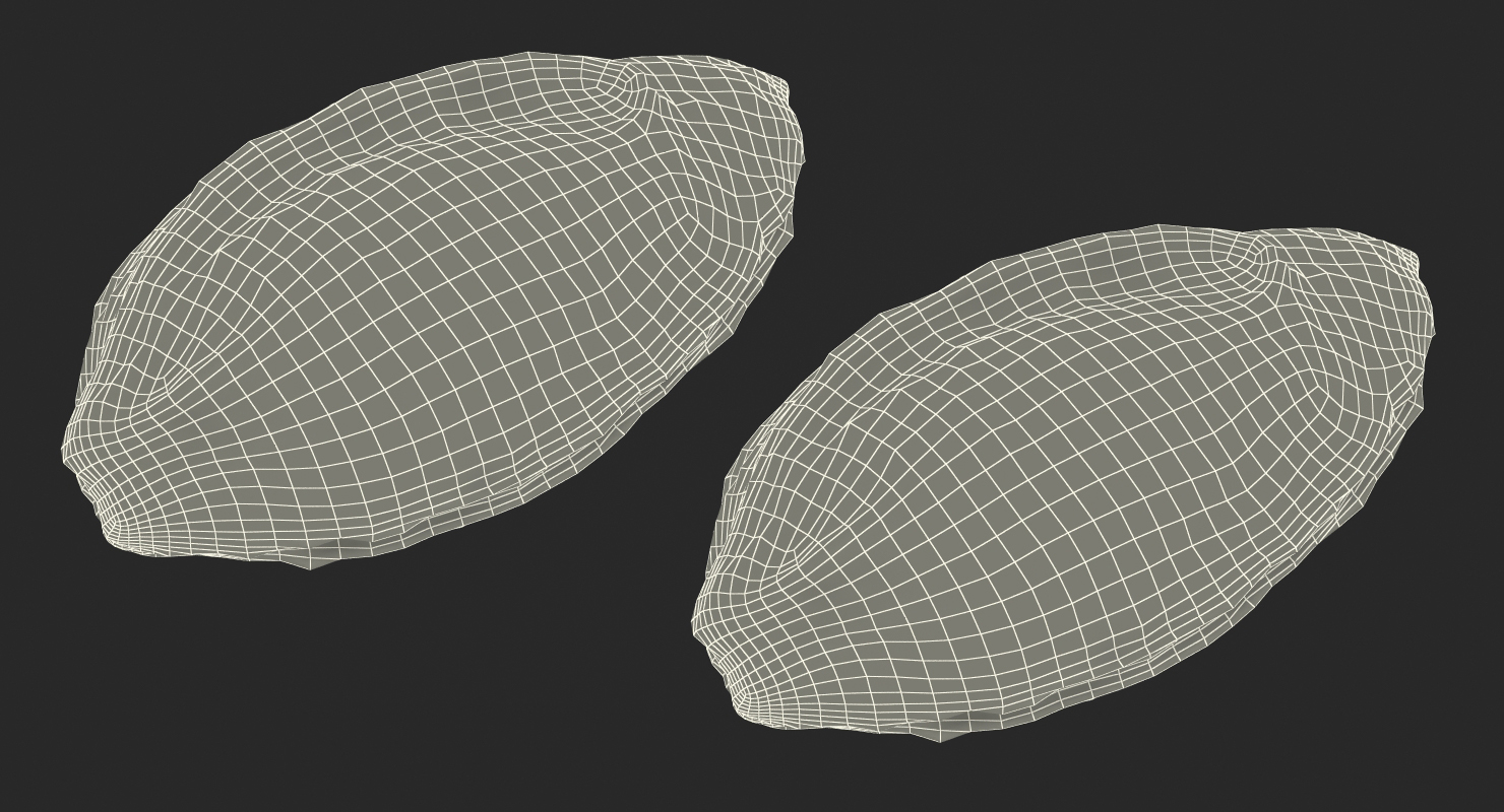 Plum Seed 3D model