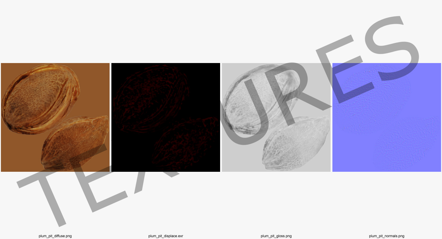 Plum Seed 3D model