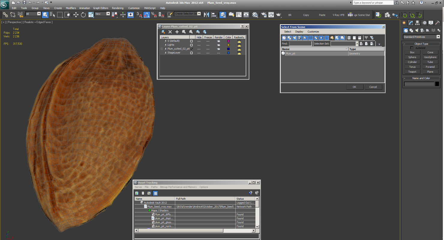 Plum Seed 3D model
