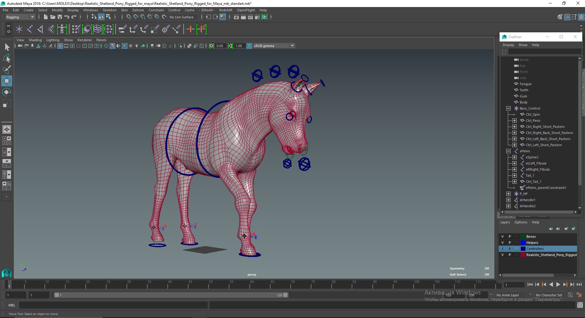 Realistic Shetland Pony Rigged for Maya 3D model