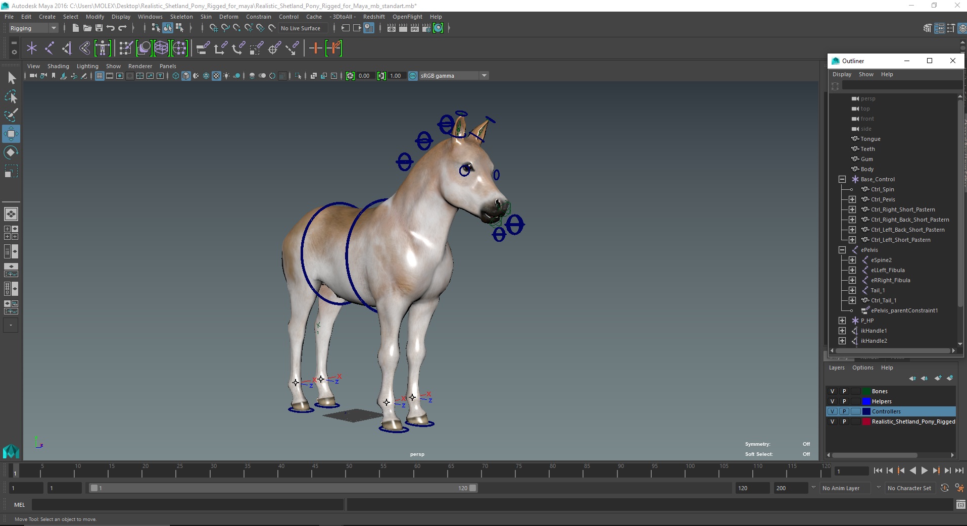Realistic Shetland Pony Rigged for Maya 3D model