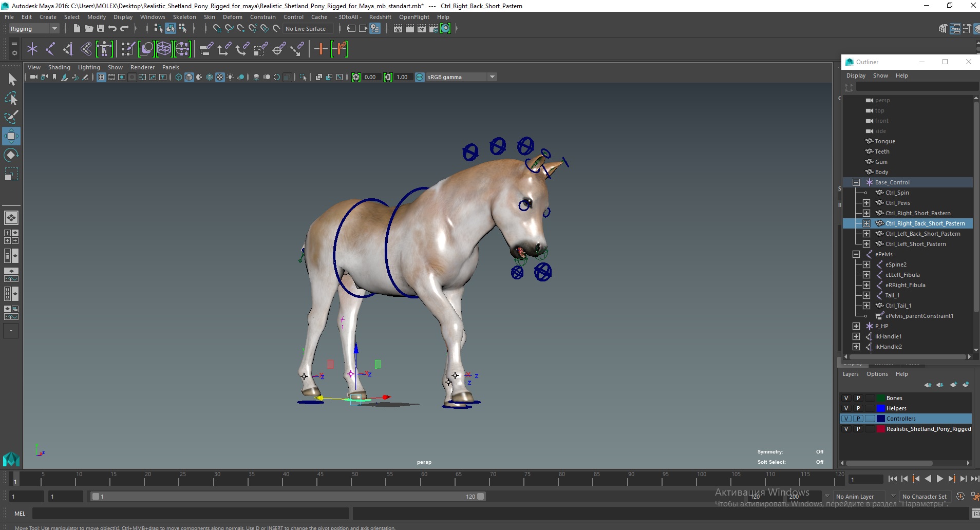 Realistic Shetland Pony Rigged for Maya 3D model