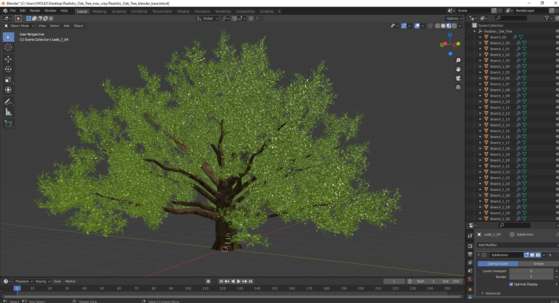 3D Realistic Oak Tree model