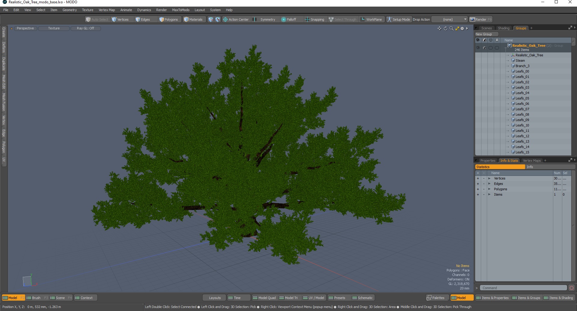 3D Realistic Oak Tree model