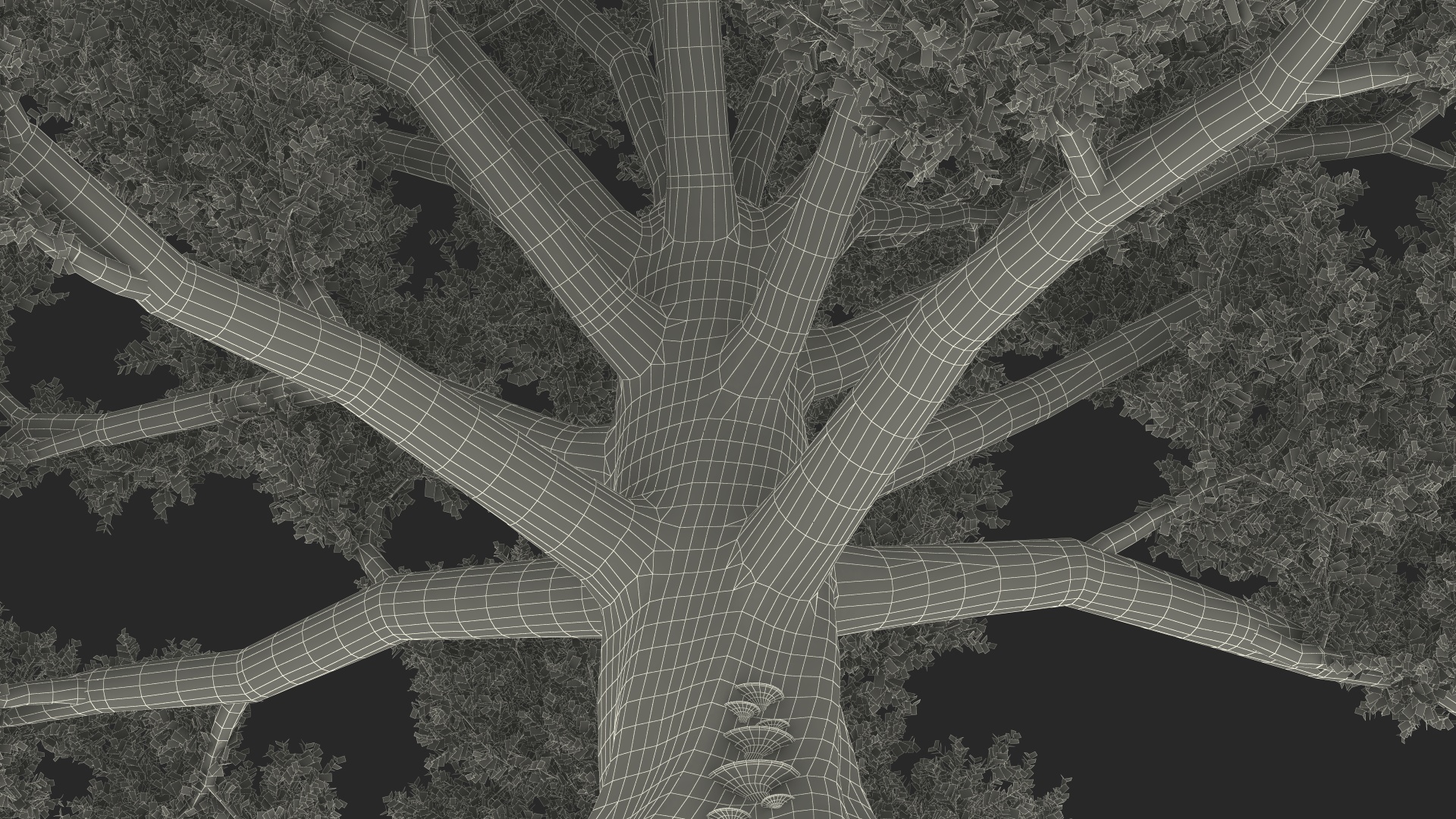 3D Realistic Oak Tree model