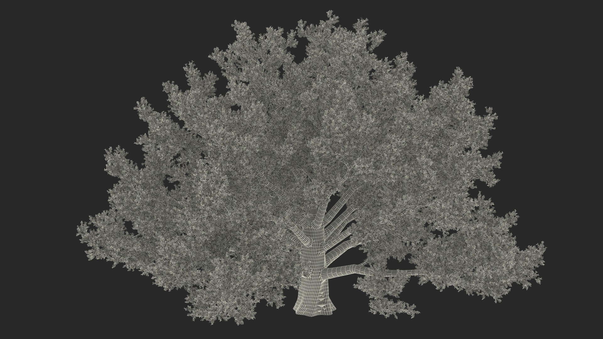 3D Realistic Oak Tree model