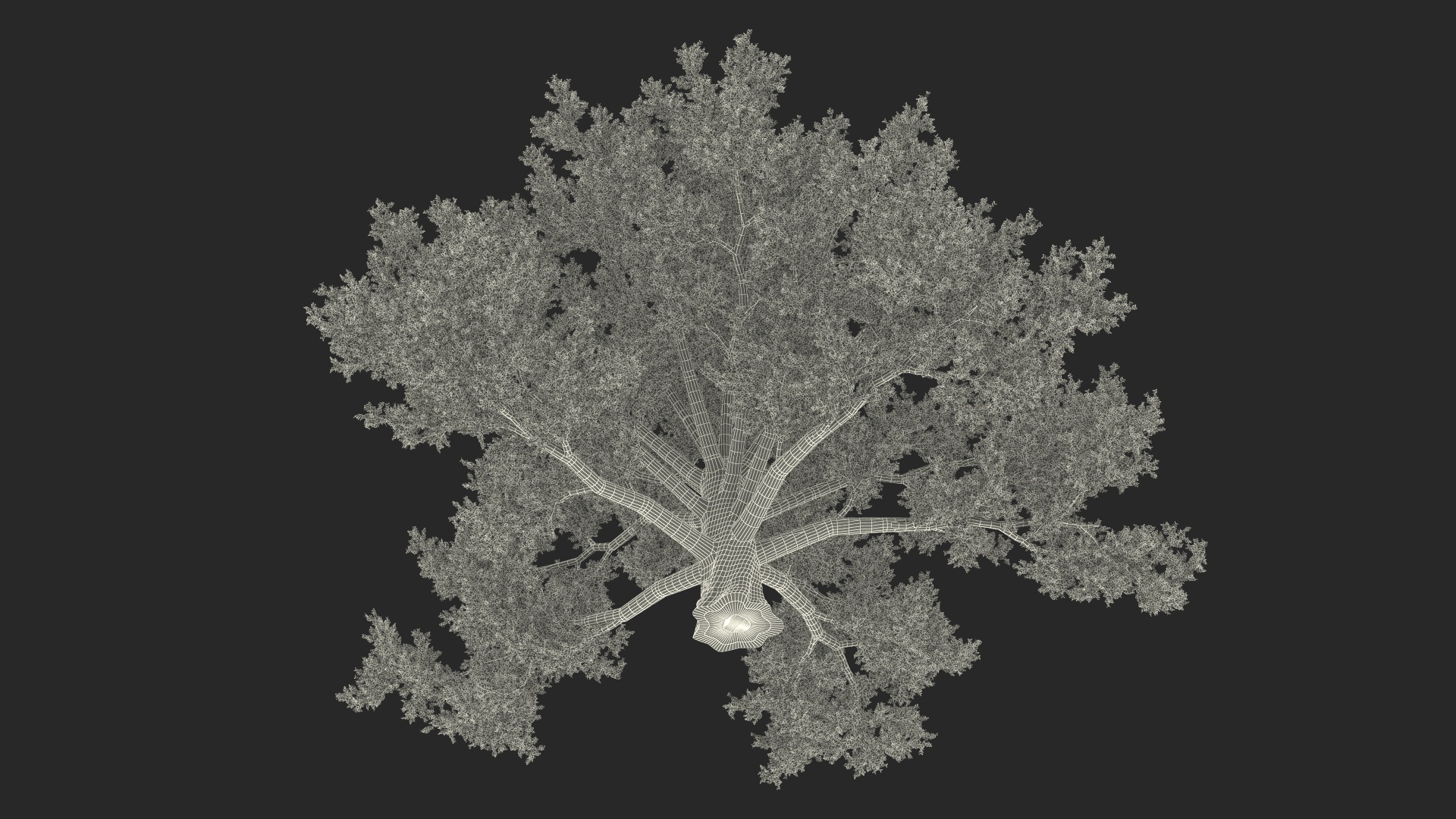 3D Realistic Oak Tree model
