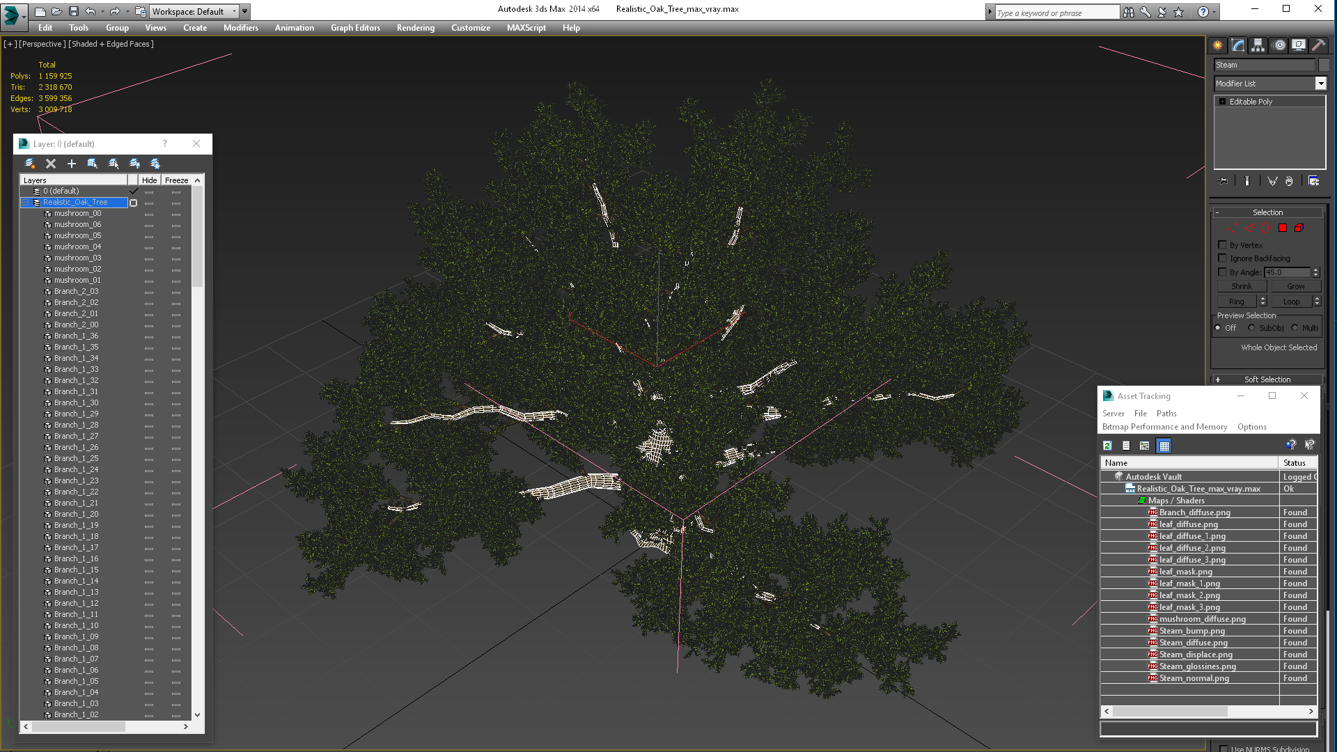 3D Realistic Oak Tree model