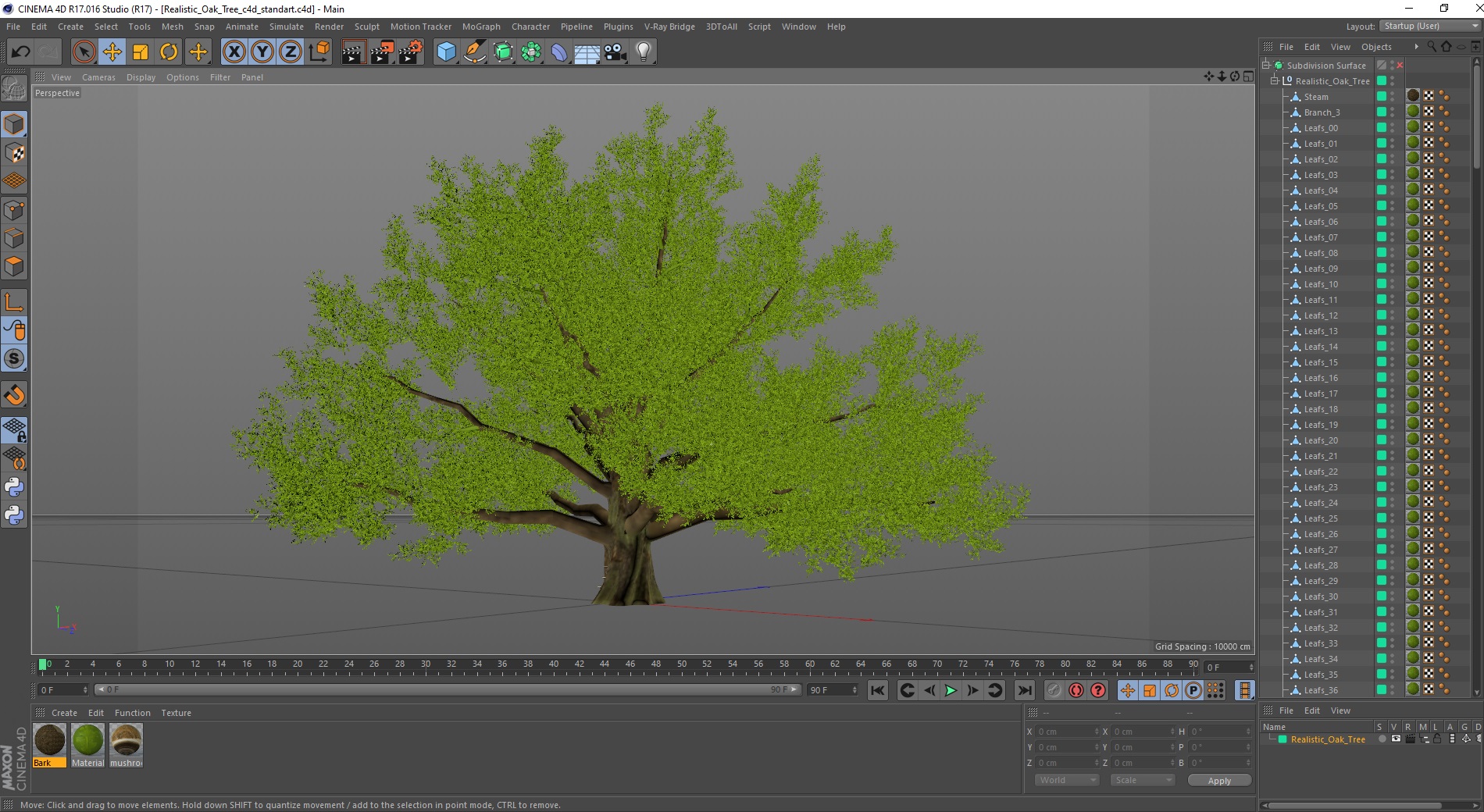 3D Realistic Oak Tree model