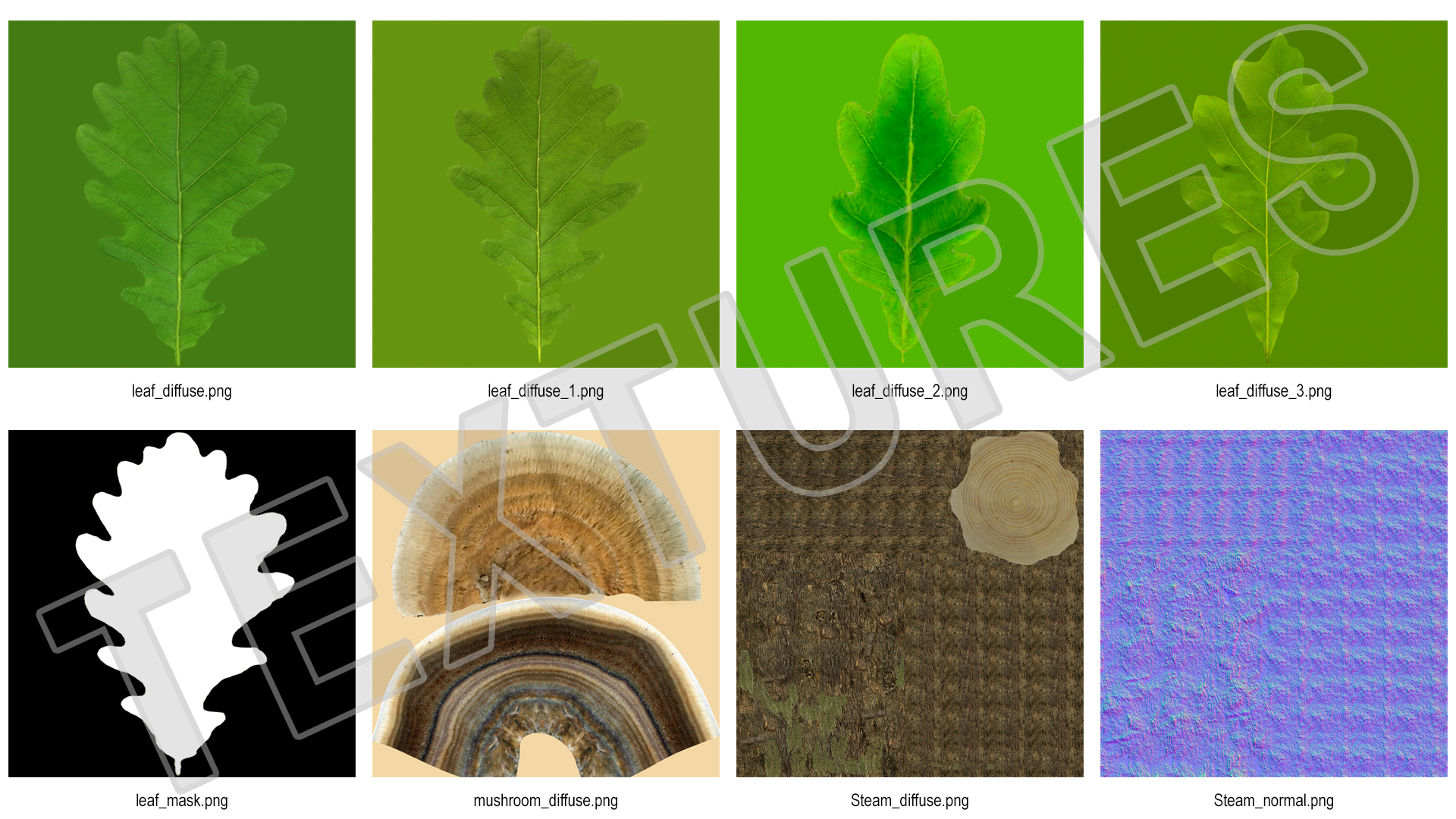 3D Realistic Oak Tree model