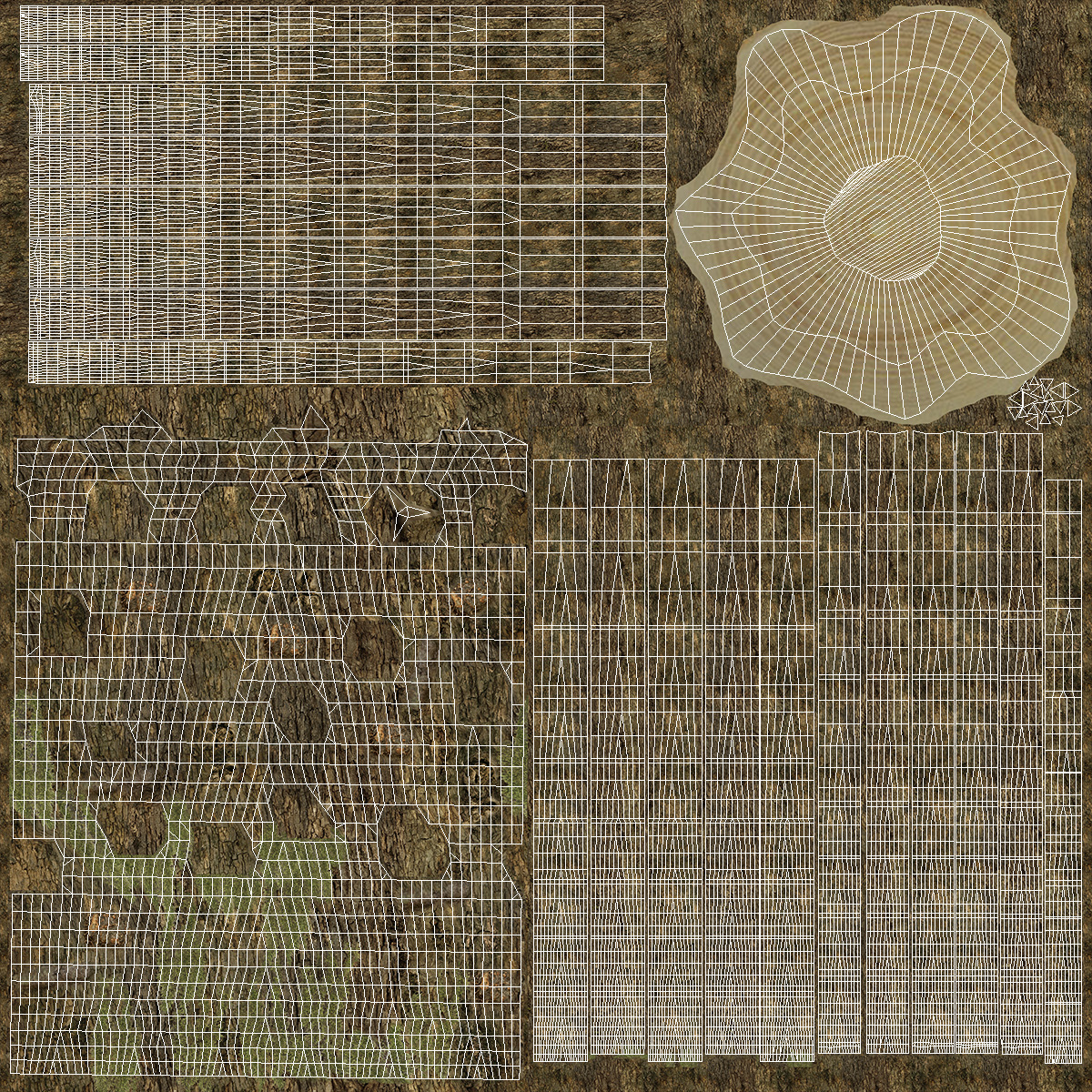 3D Realistic Oak Tree model