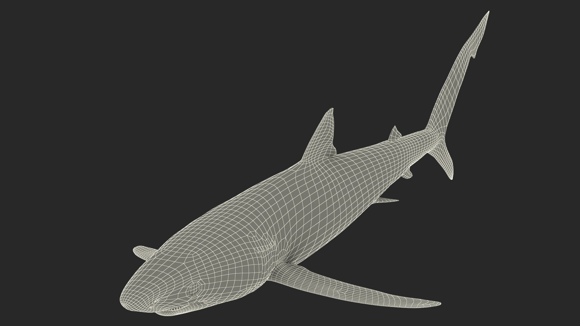 3D model Realistic Blue Shark