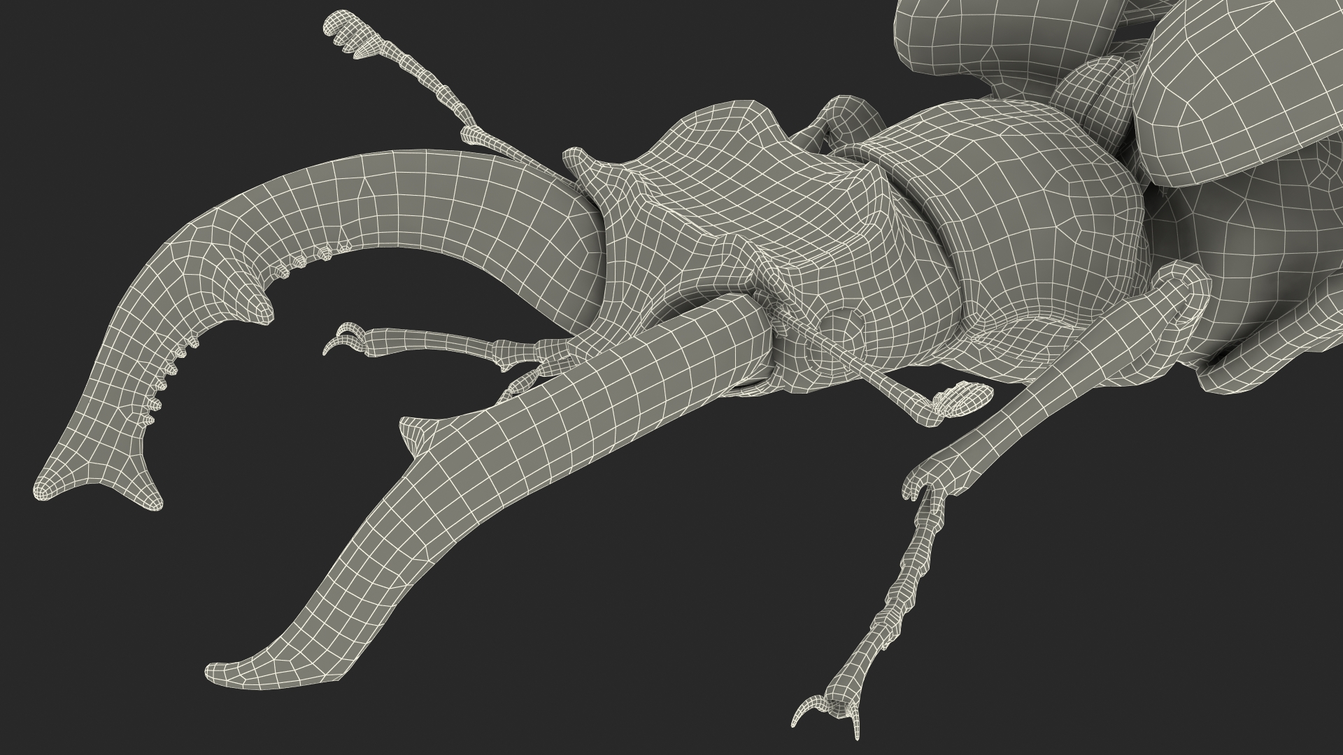 3D Lucanus Cervus Stag Beetle