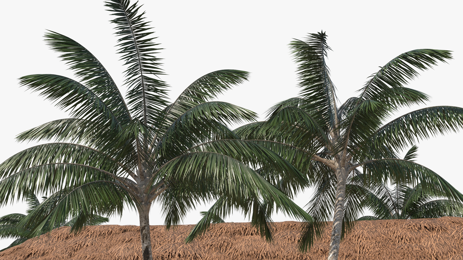 3D model Beach Hut Scene
