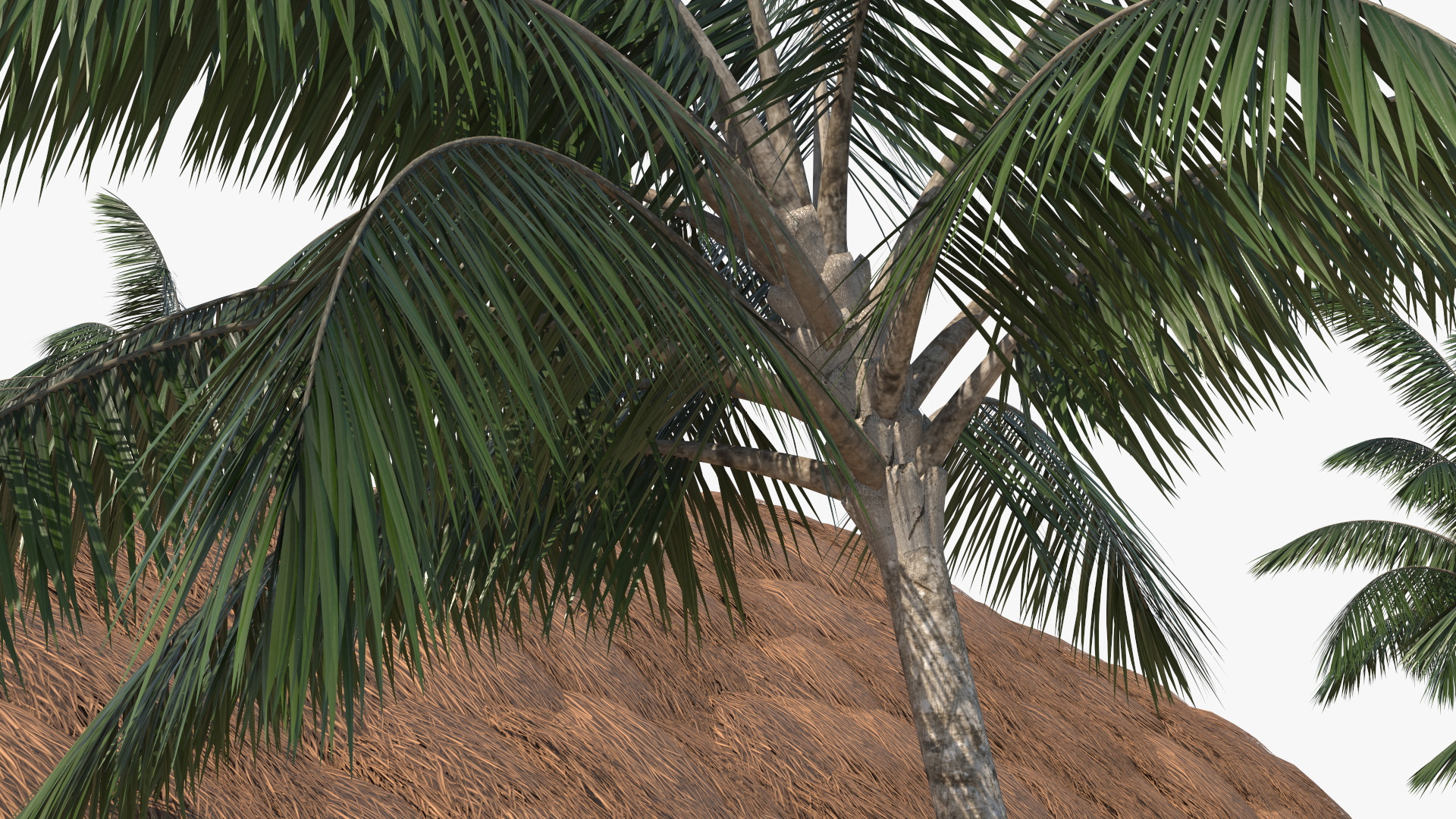 3D model Beach Hut Scene