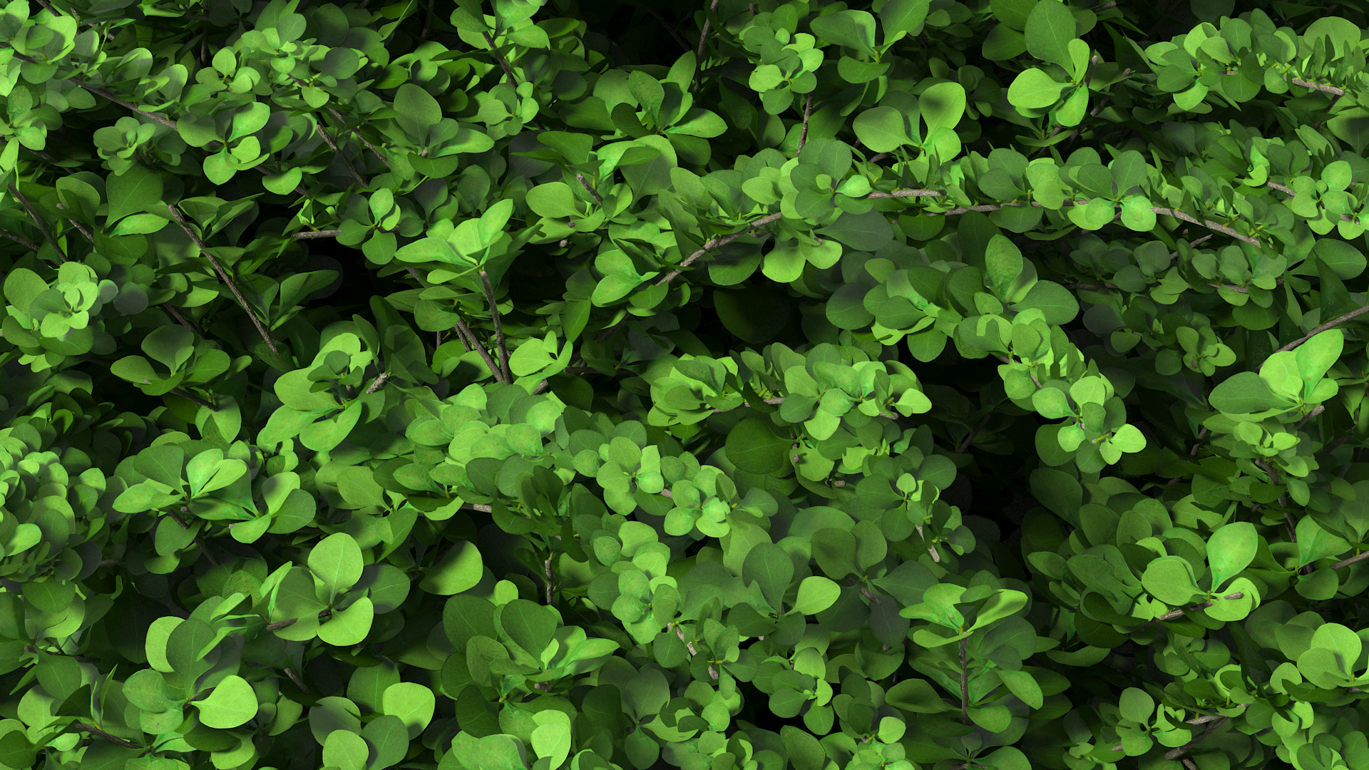 3D model Barberry Shrub Green