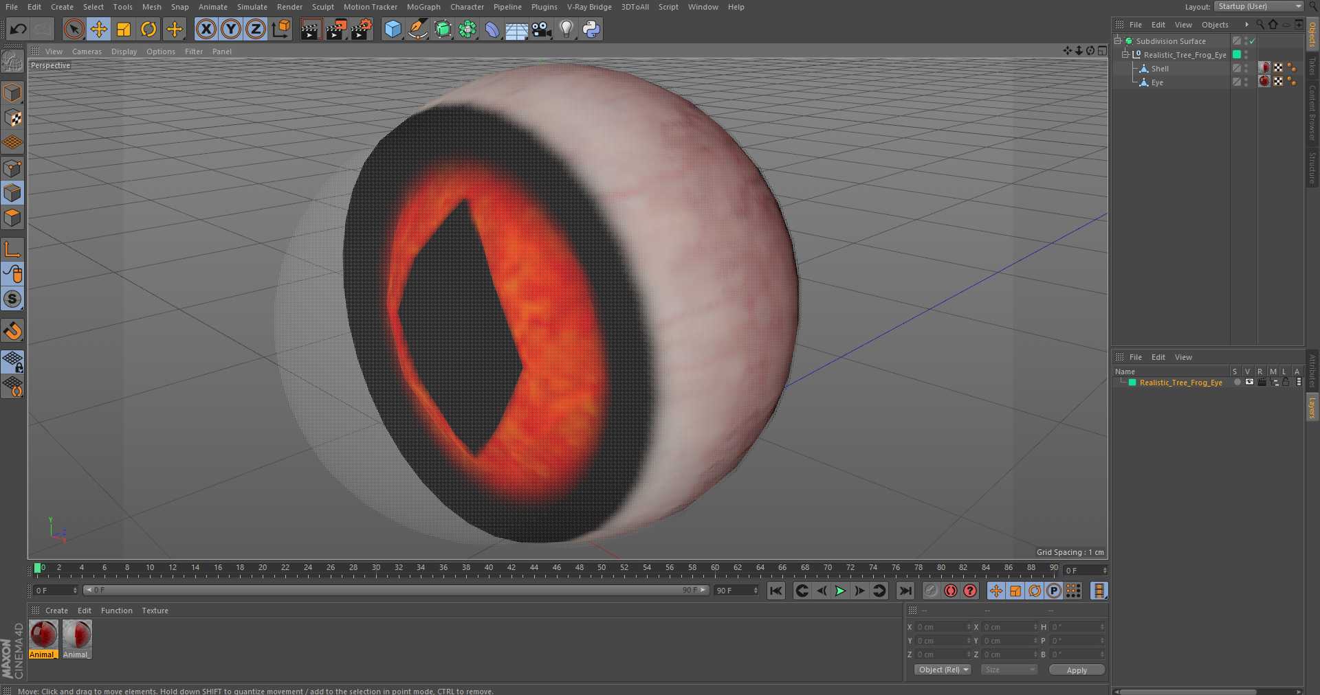 3D Realistic Tree Frog Eye model