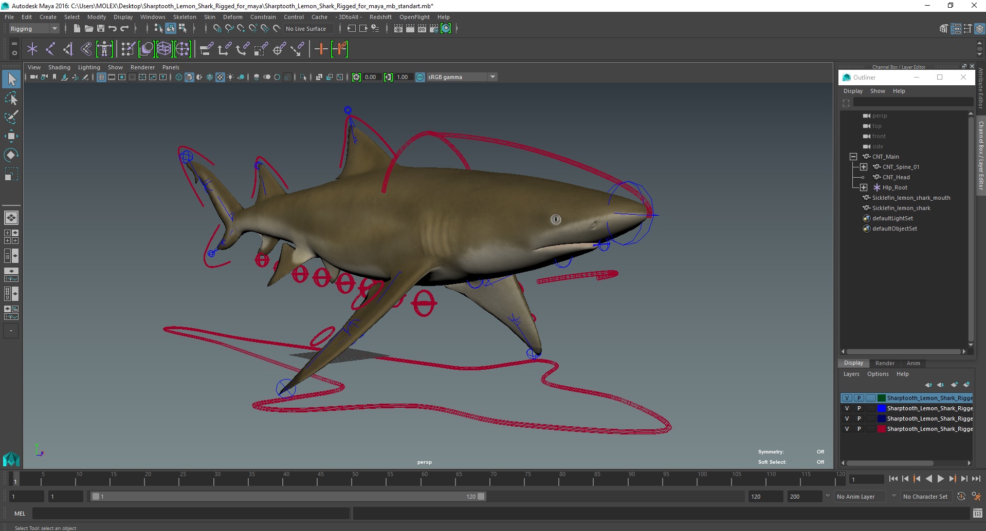 3D Sharptooth Lemon Shark Rigged for Maya model