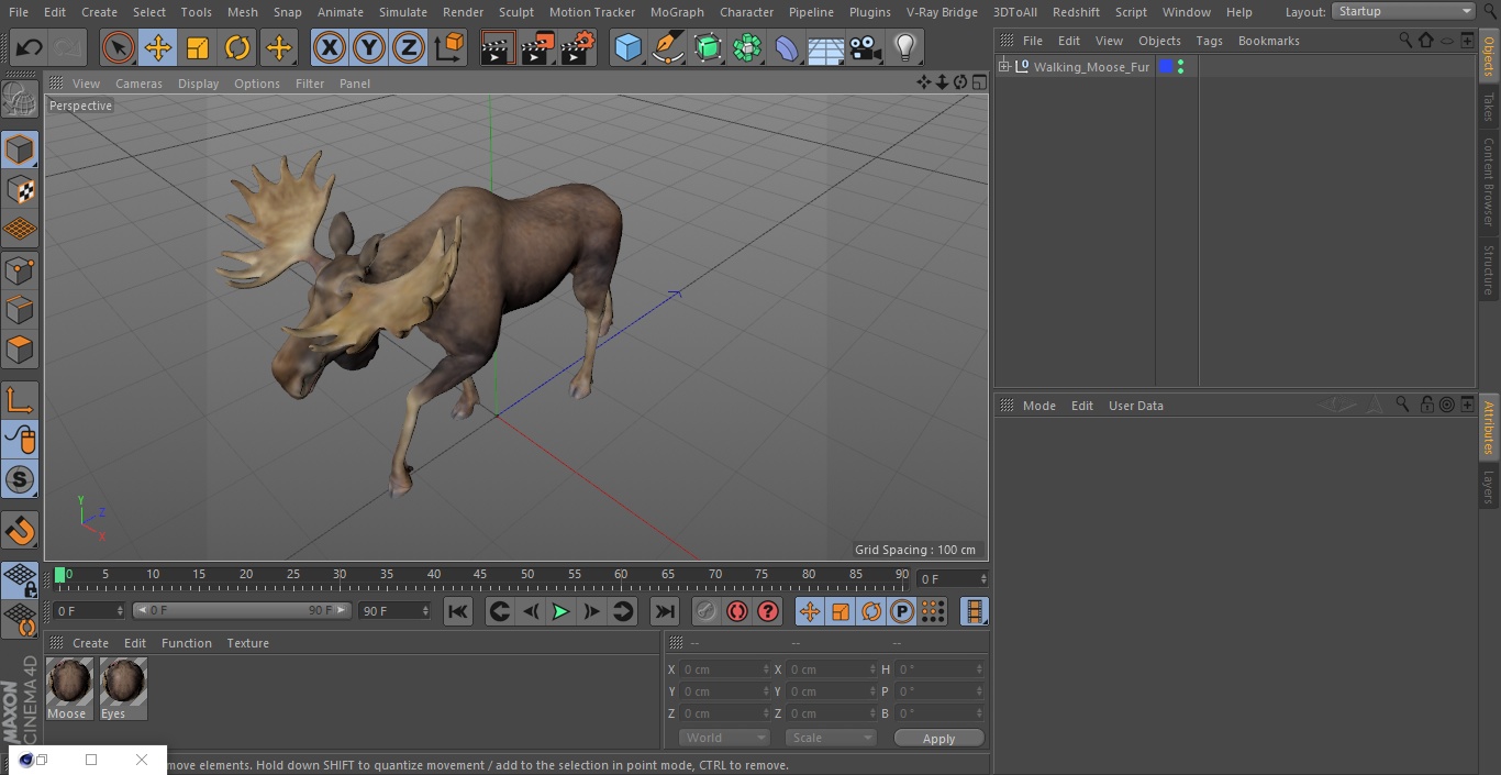 3D Alces Alces Walking No Fur