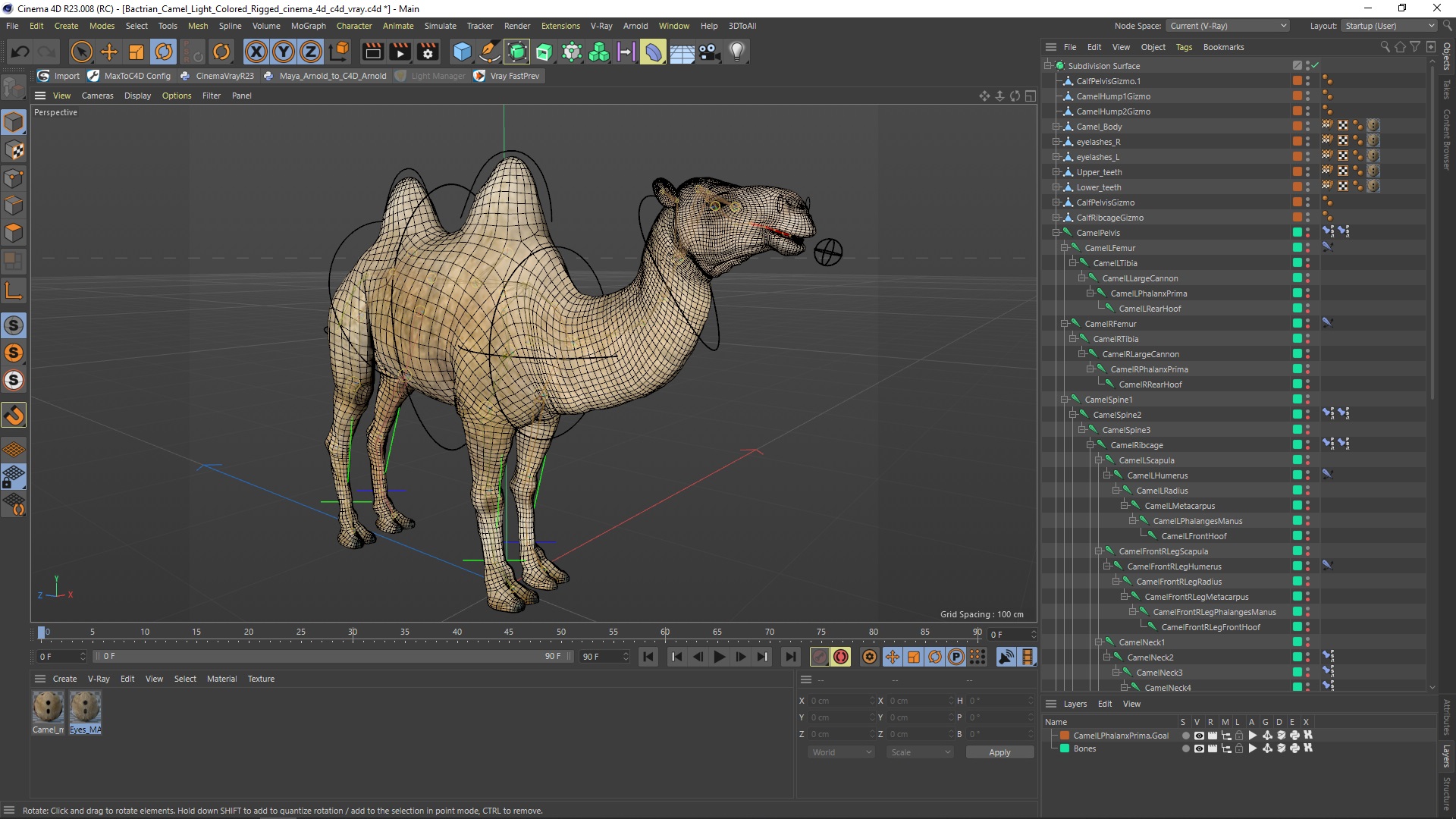 Bactrian Camel Light Colored Rigged for Cinema 4D 3D model