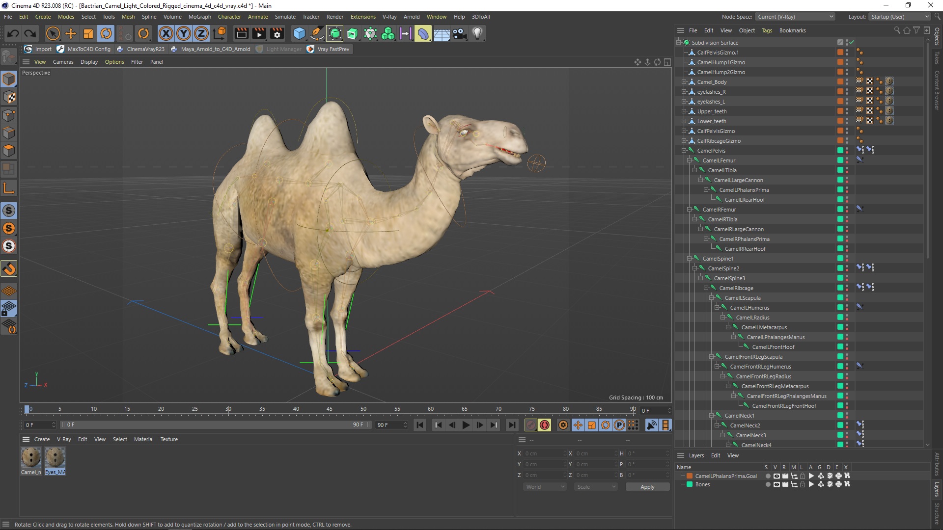 Bactrian Camel Light Colored Rigged for Cinema 4D 3D model