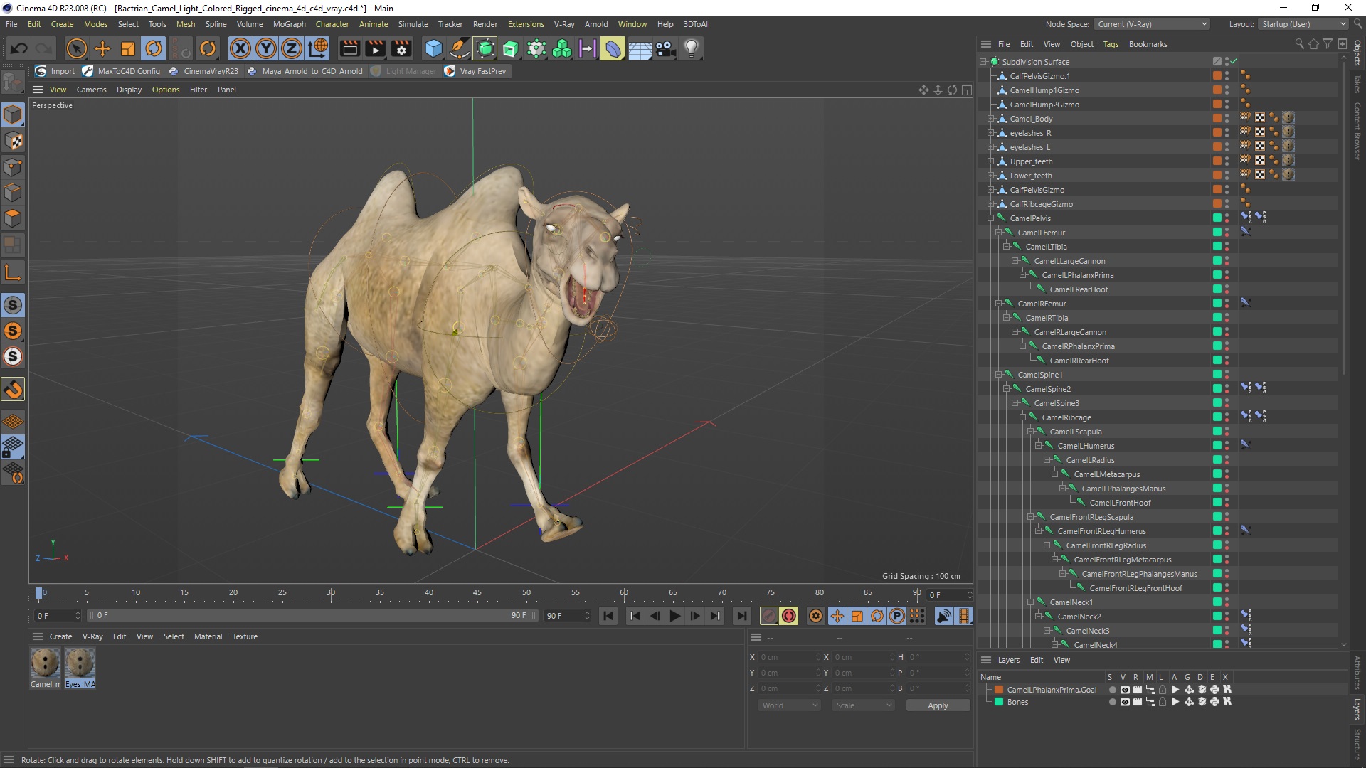 Bactrian Camel Light Colored Rigged for Cinema 4D 3D model