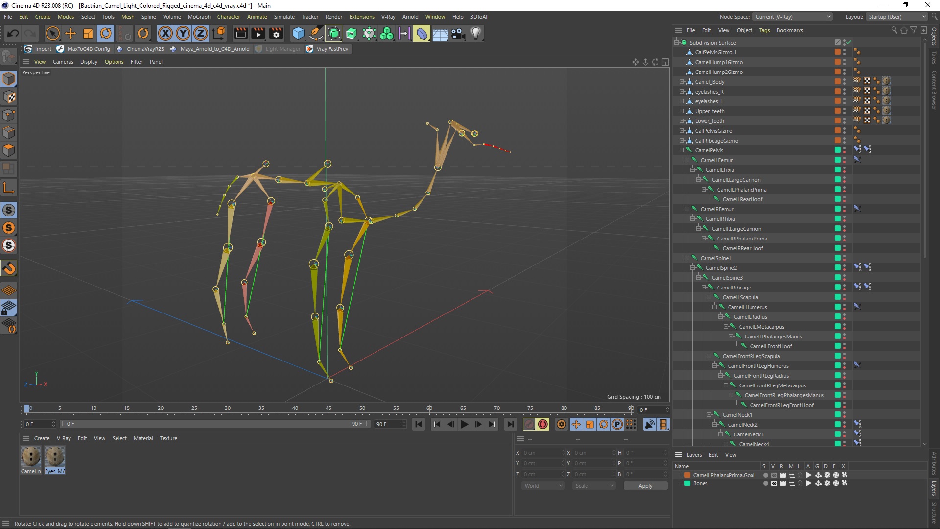 Bactrian Camel Light Colored Rigged for Cinema 4D 3D model