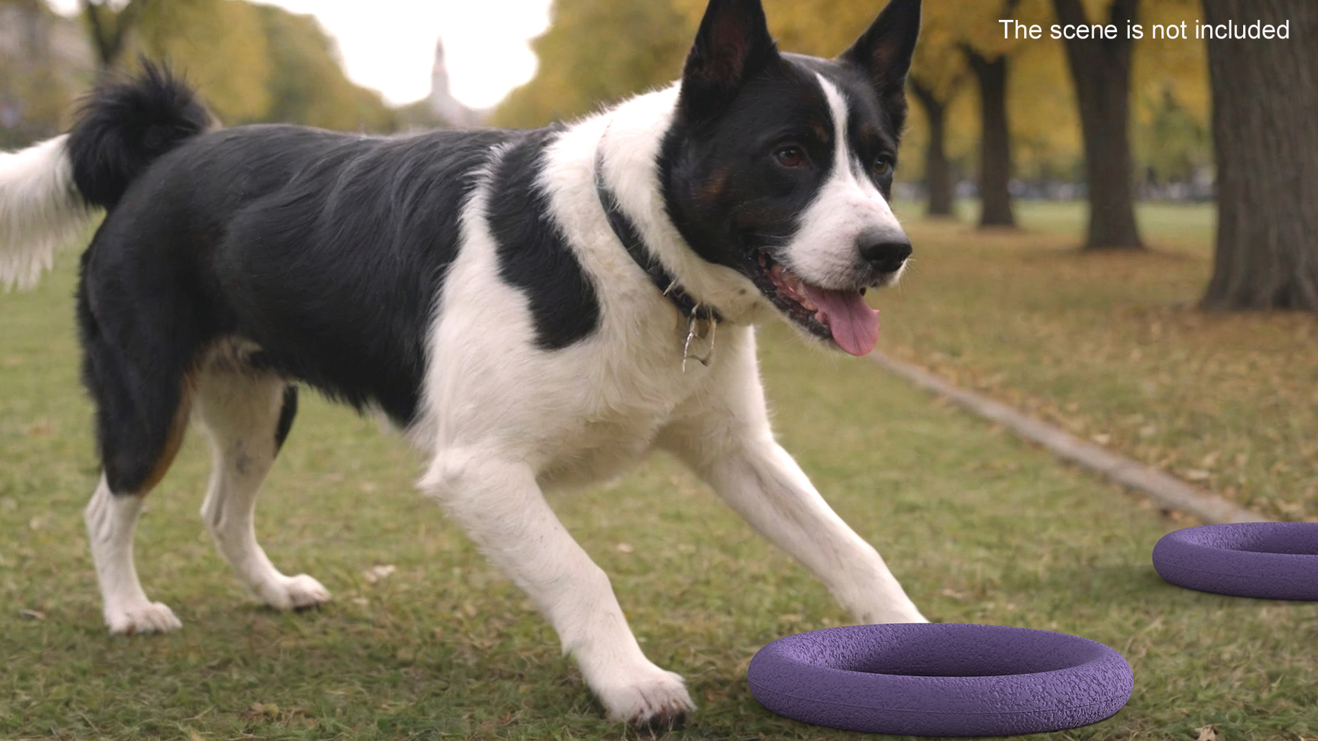 Dog Puller Standart Fitness Tool Used 3D
