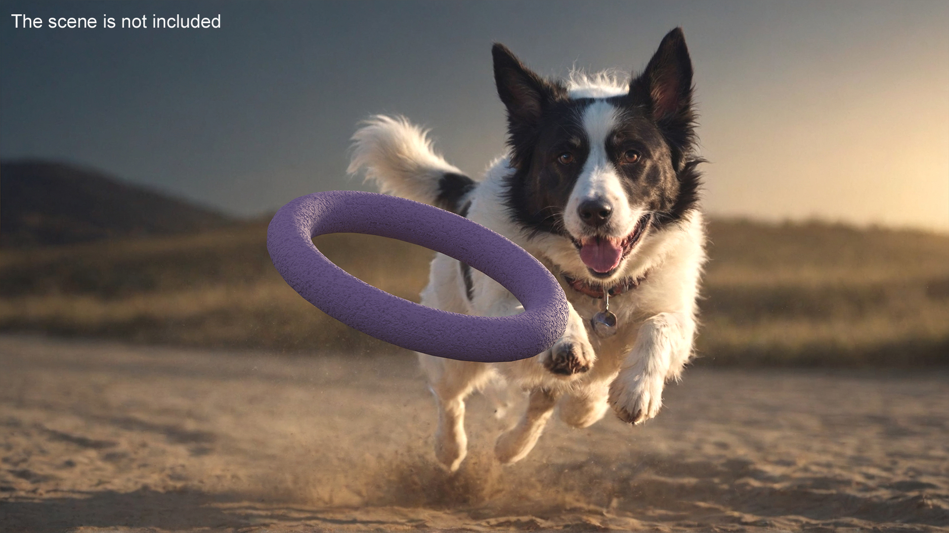 Dog Puller Standart Fitness Tool Used 3D