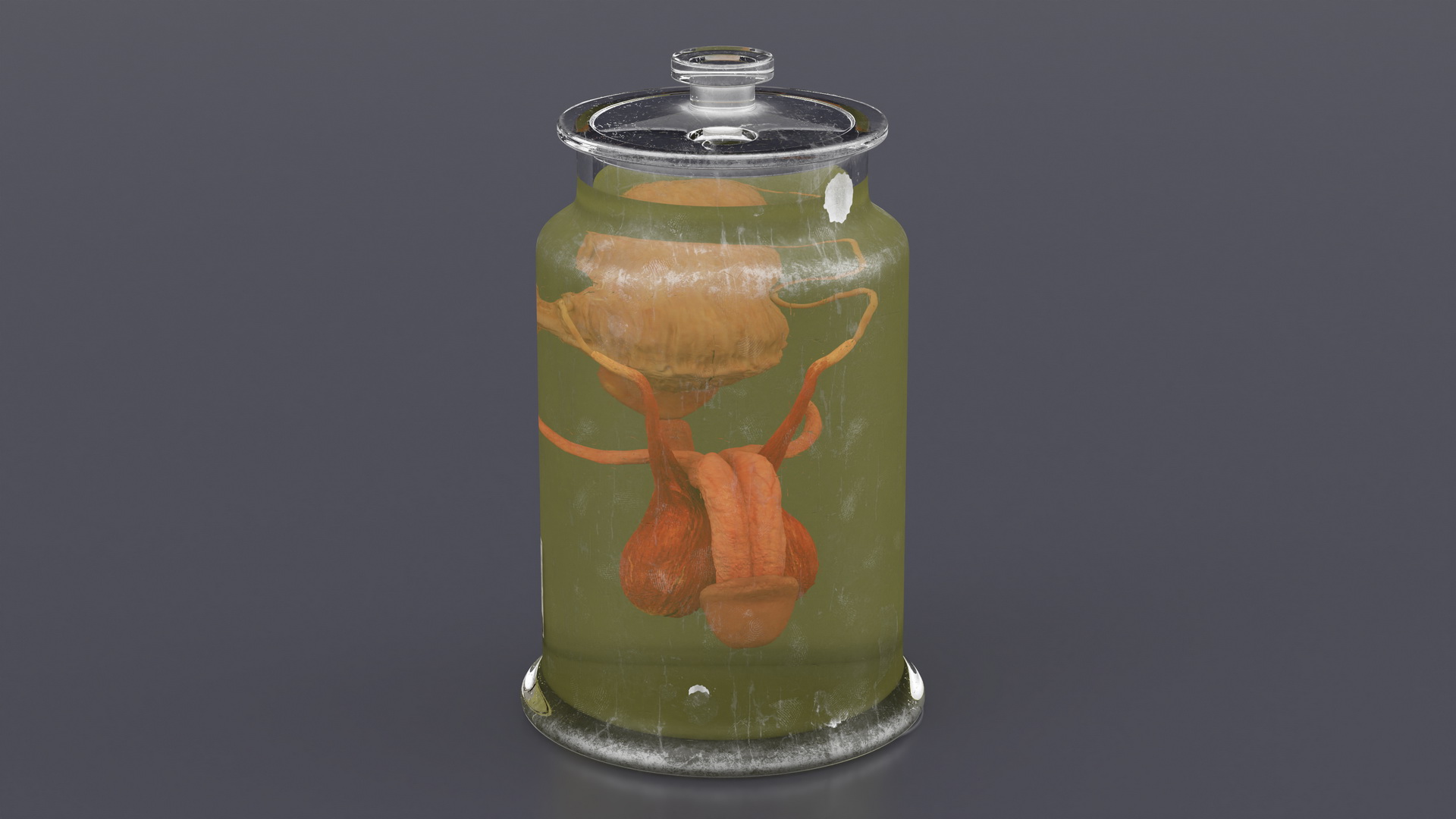 3D Male Genitalia in Old Glass Jar