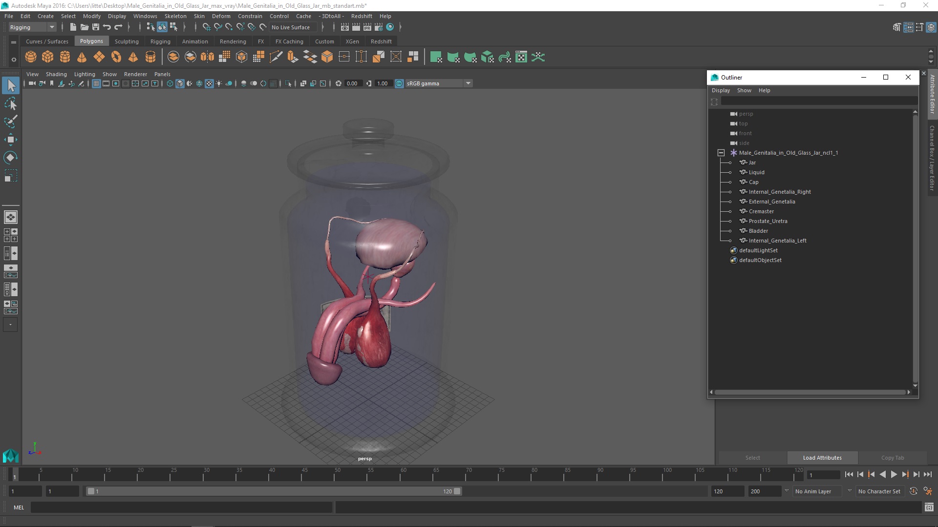 3D Male Genitalia in Old Glass Jar