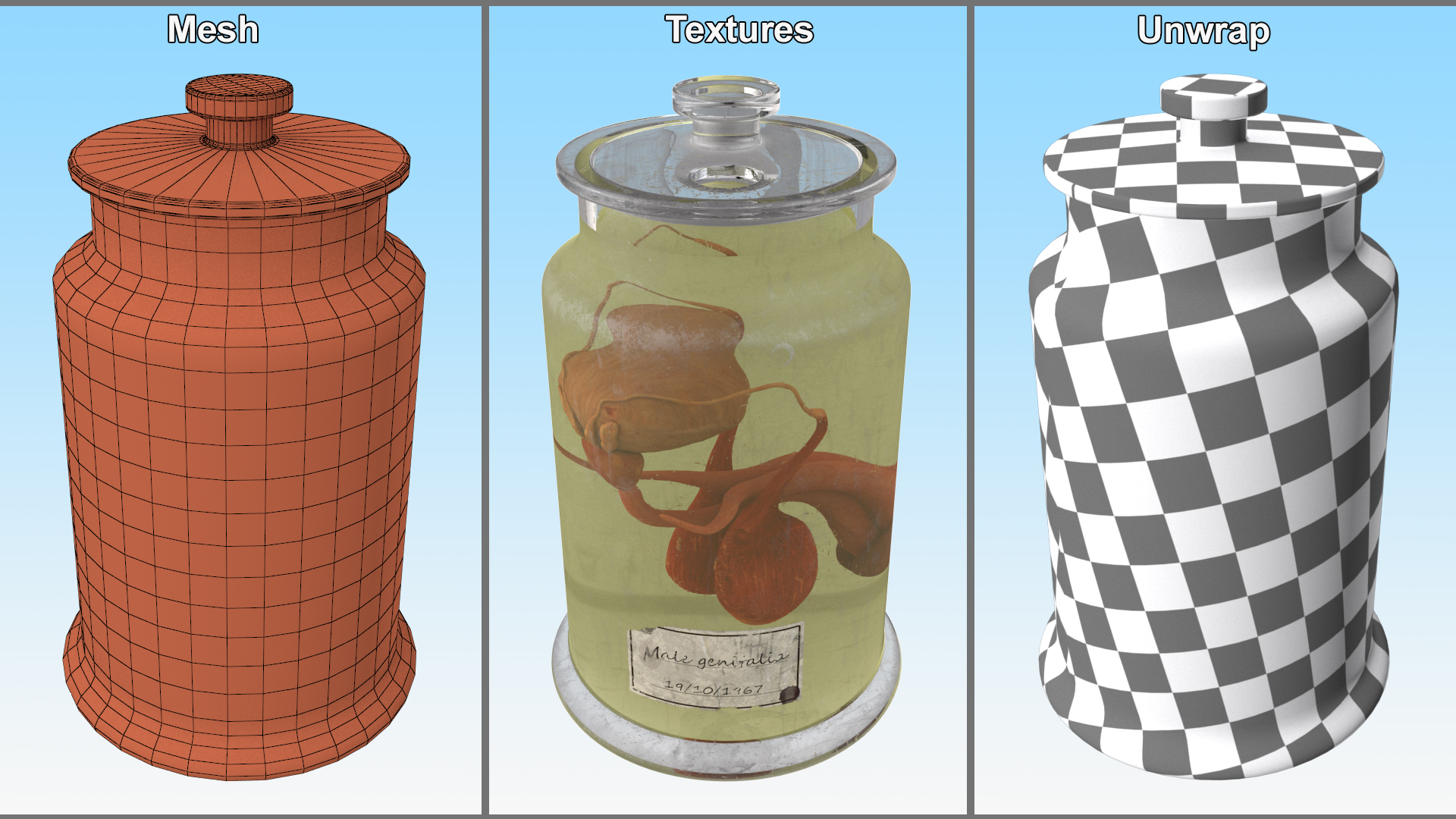 3D Male Genitalia in Old Glass Jar