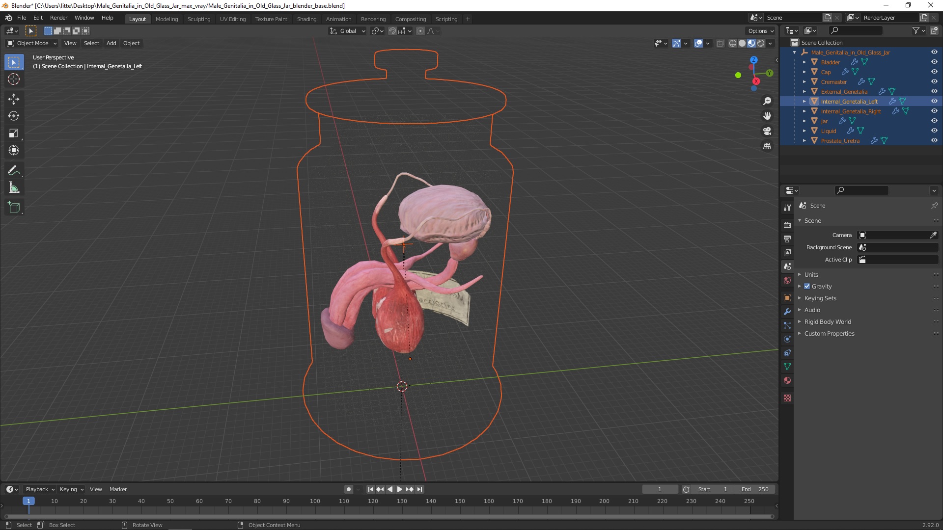 3D Male Genitalia in Old Glass Jar