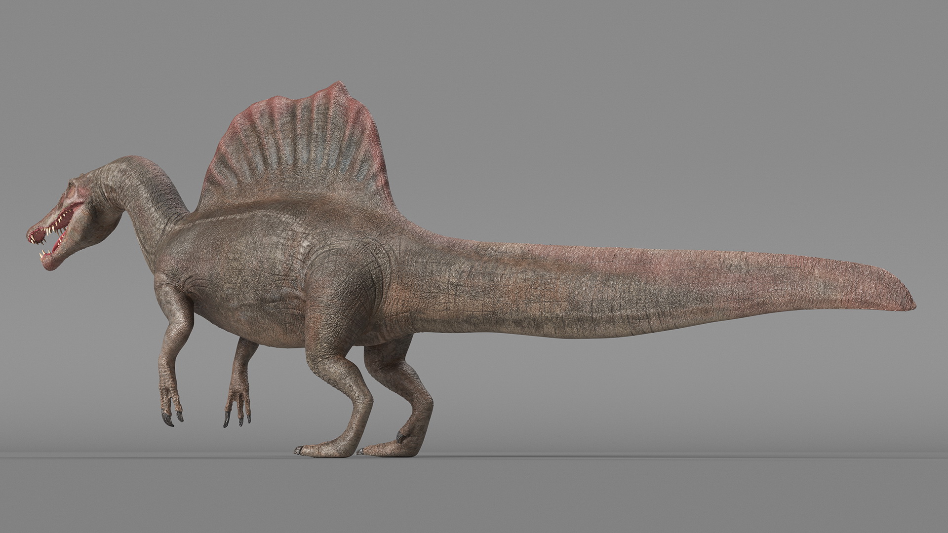 Spinosaurus Basic Pose 3D