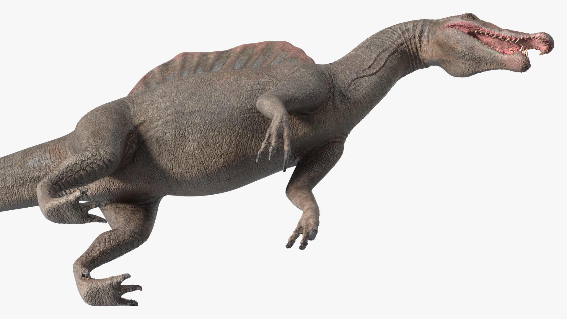 Spinosaurus Basic Pose 3D