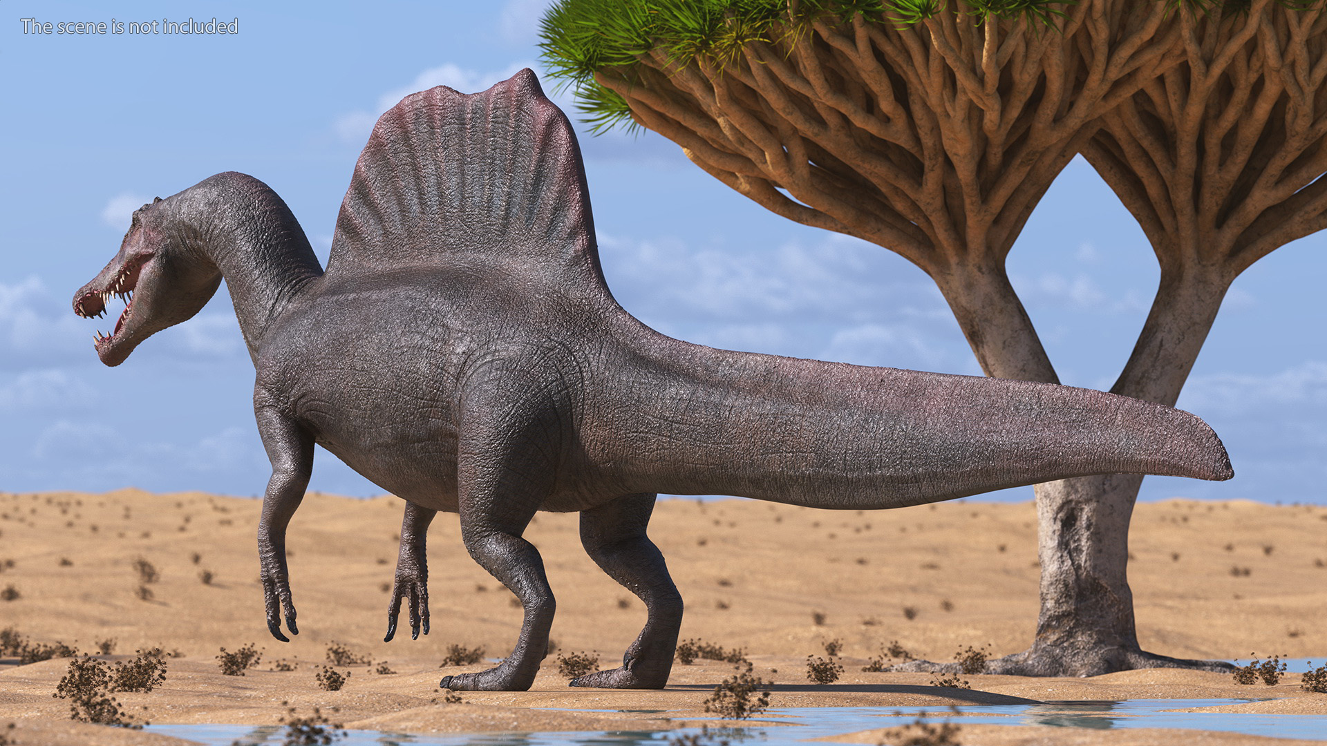 Spinosaurus Basic Pose 3D