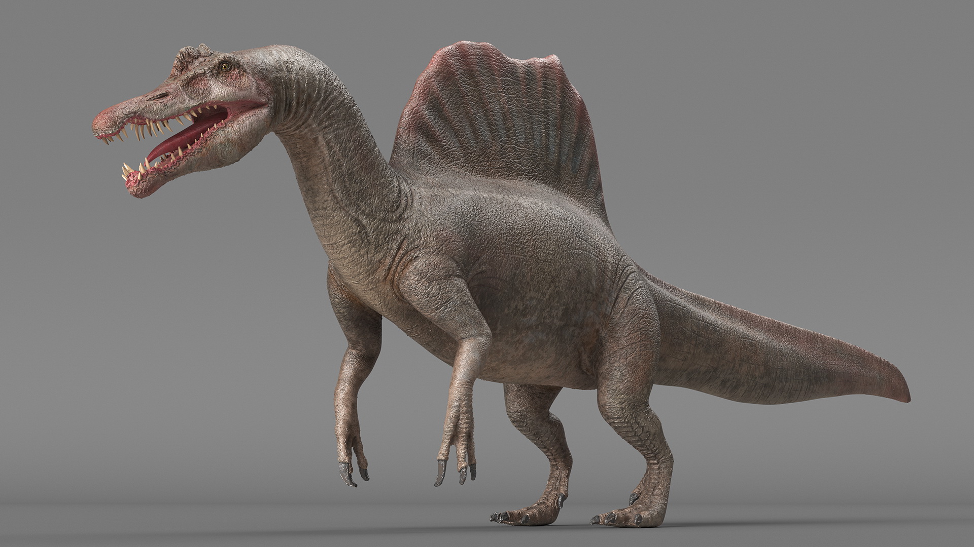 Spinosaurus Basic Pose 3D