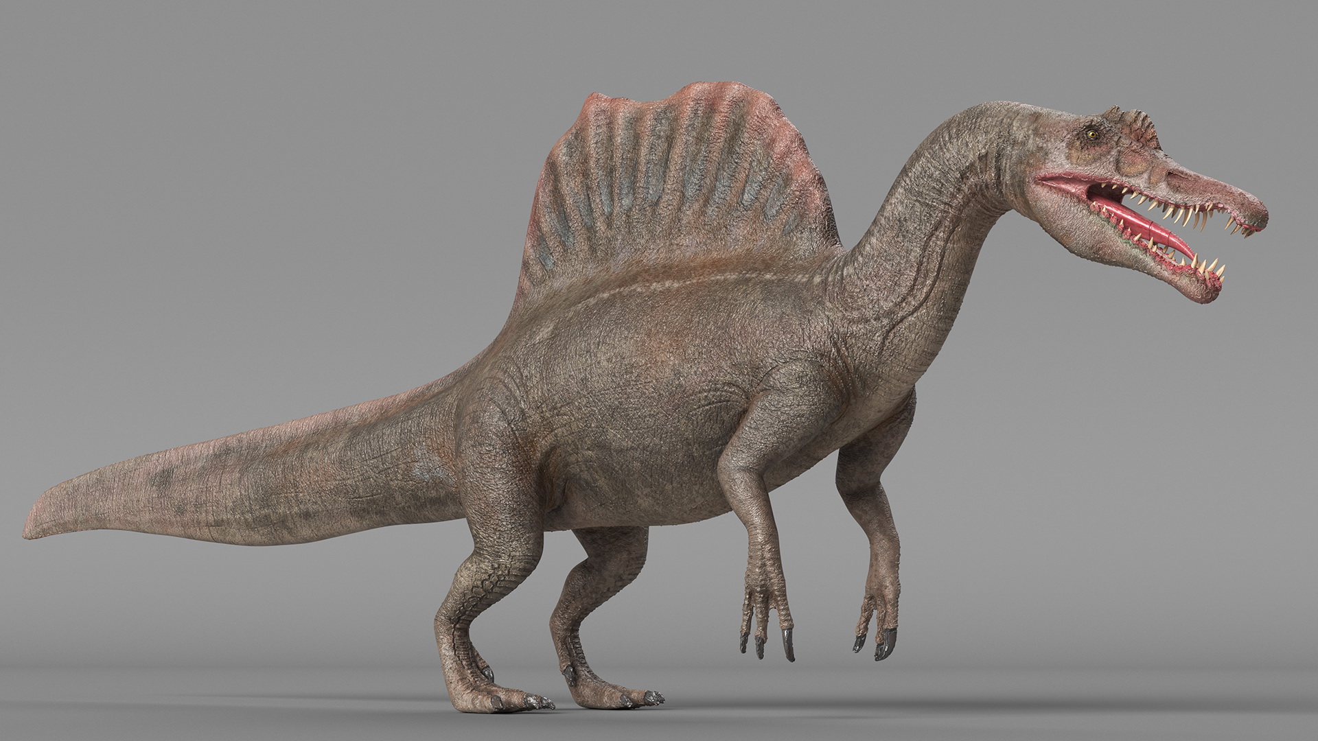 Spinosaurus Basic Pose 3D