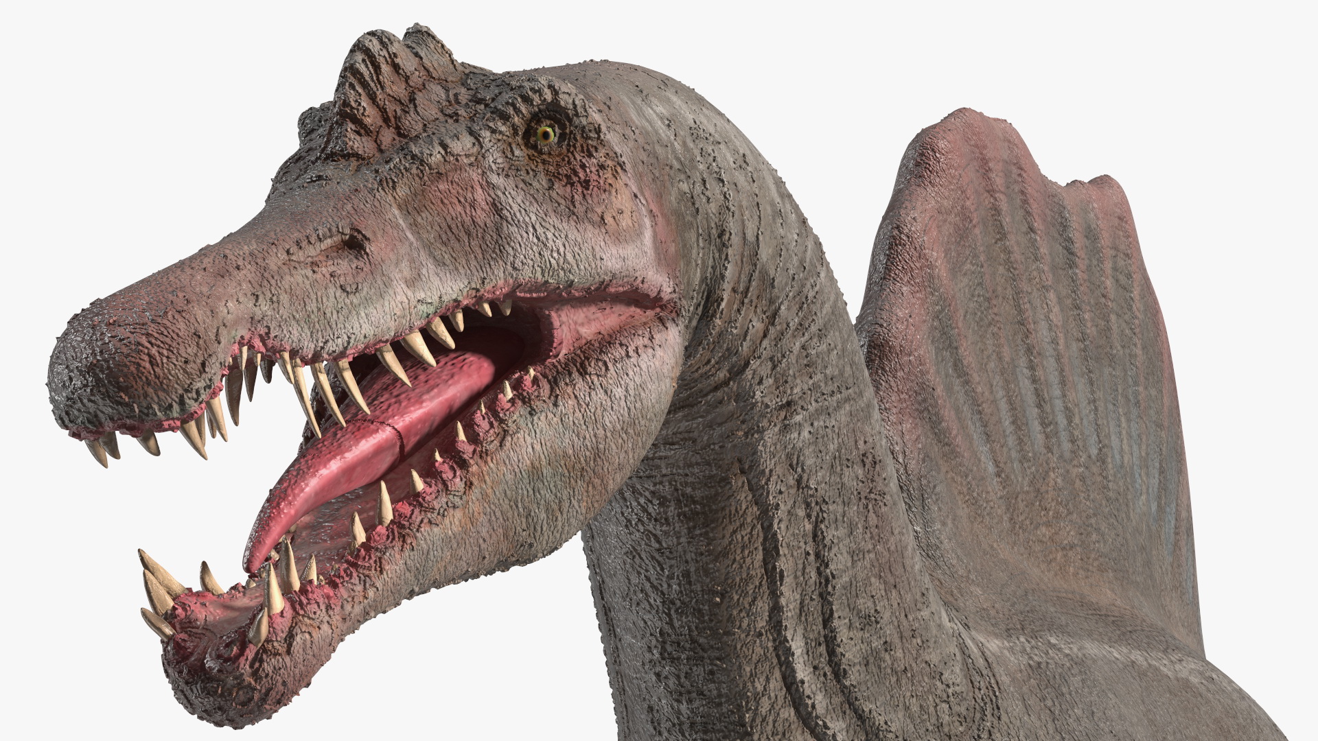 Spinosaurus Basic Pose 3D