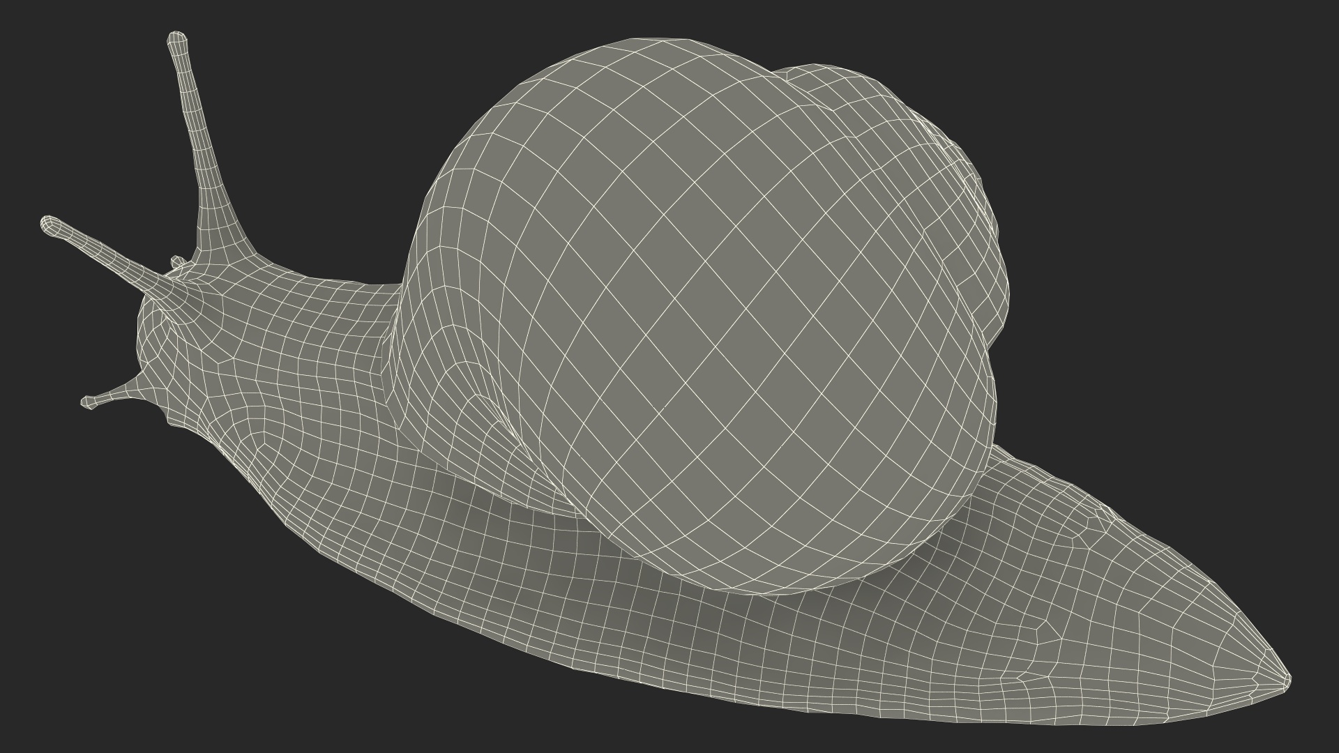 3D model Garden Snail Dark Color Rigged