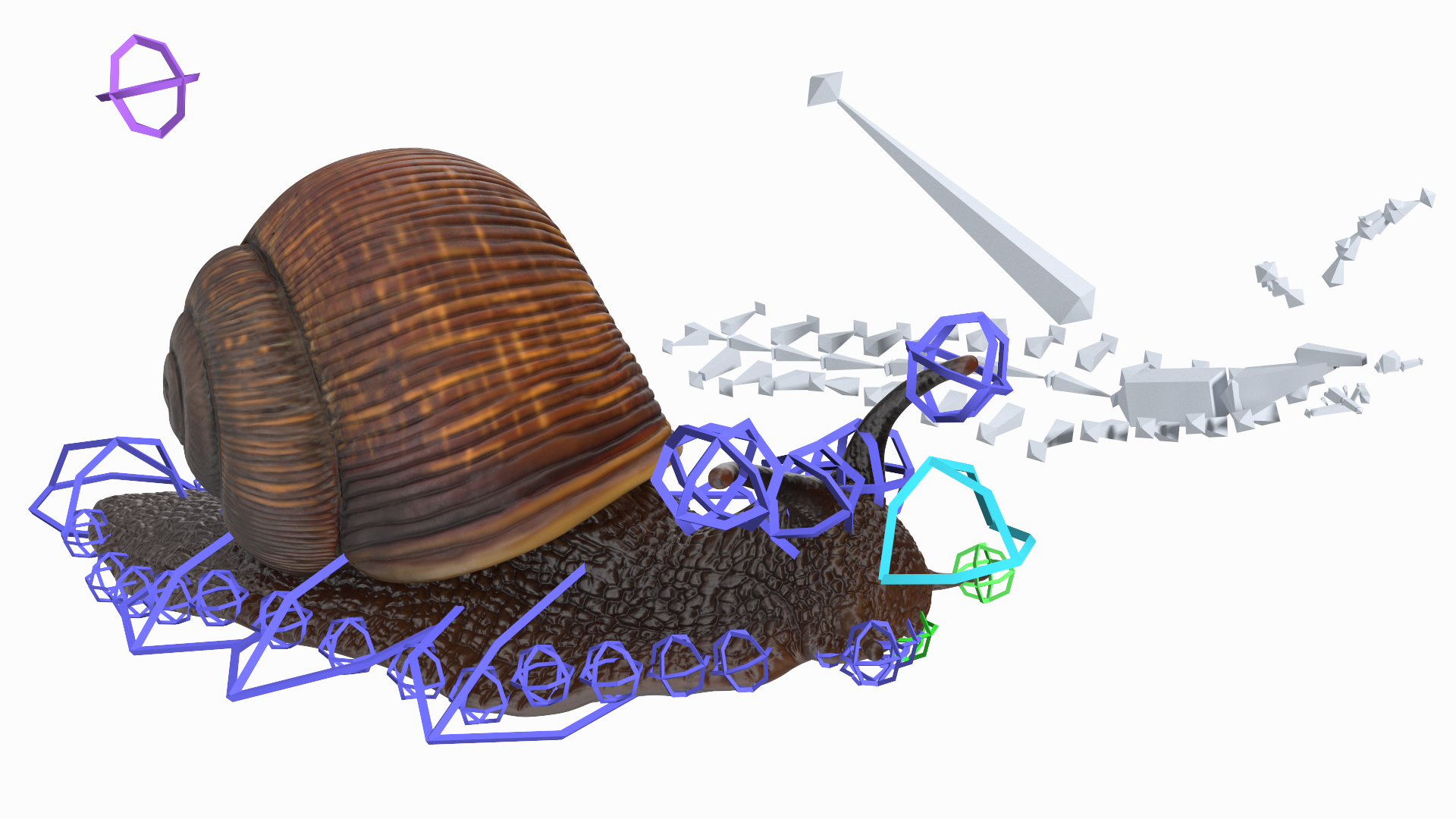 3D model Garden Snail Dark Color Rigged