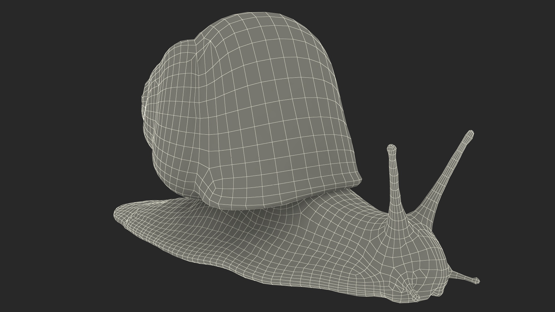3D model Garden Snail Dark Color Rigged