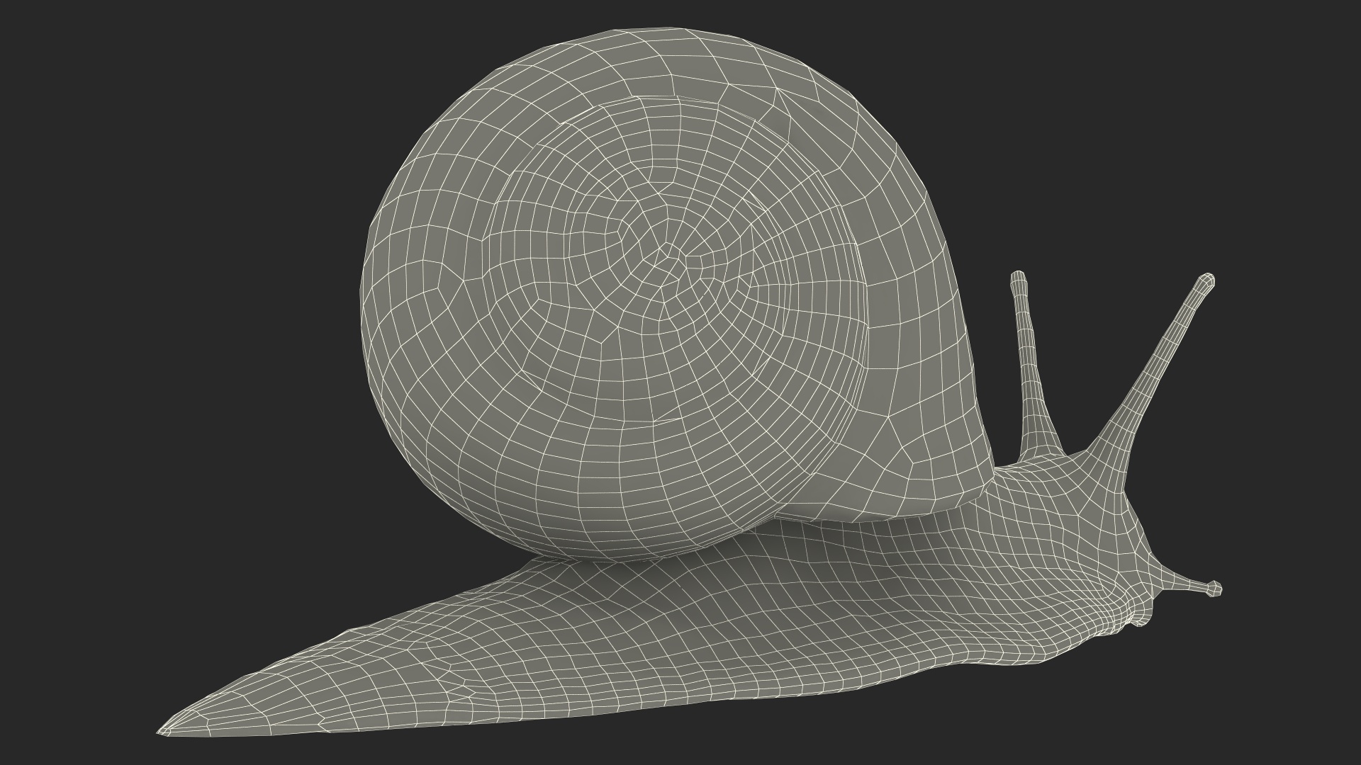 3D model Garden Snail Dark Color Rigged