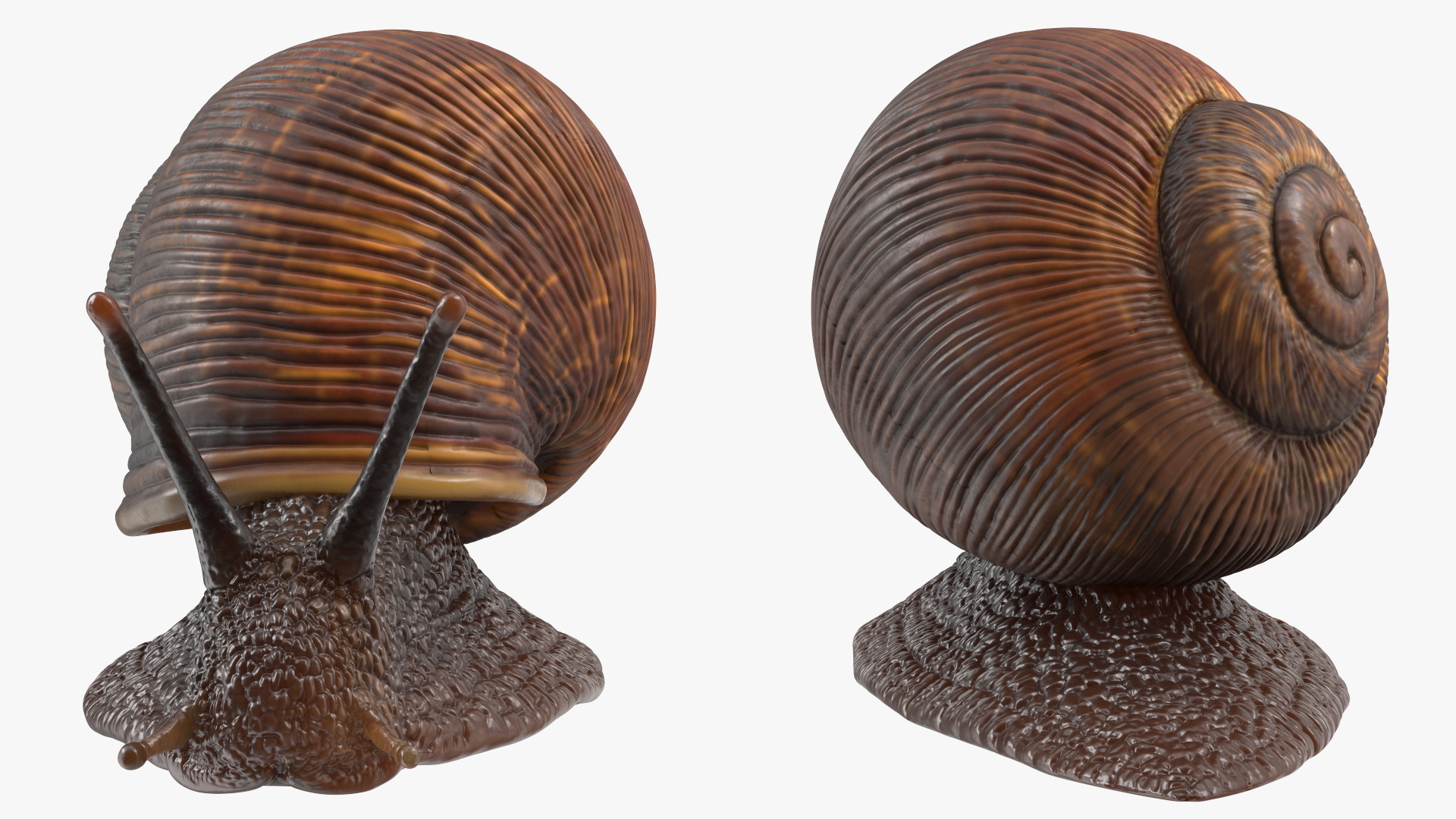 3D model Garden Snail Dark Color Rigged